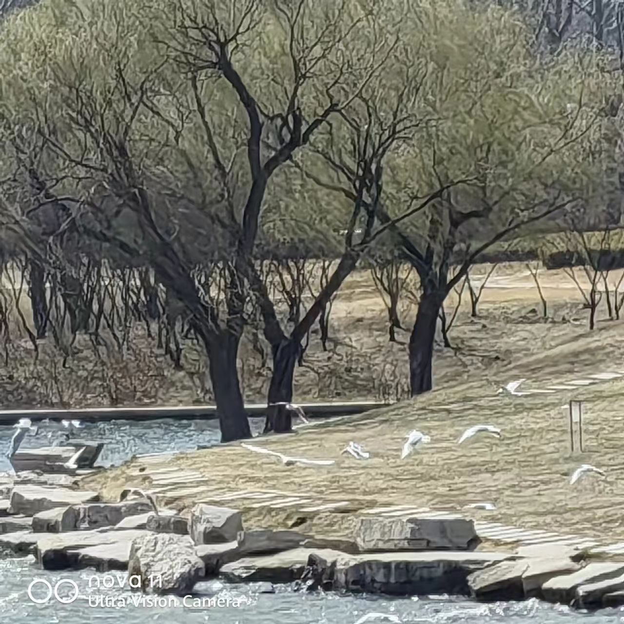 鸢都湖旅行图片 1