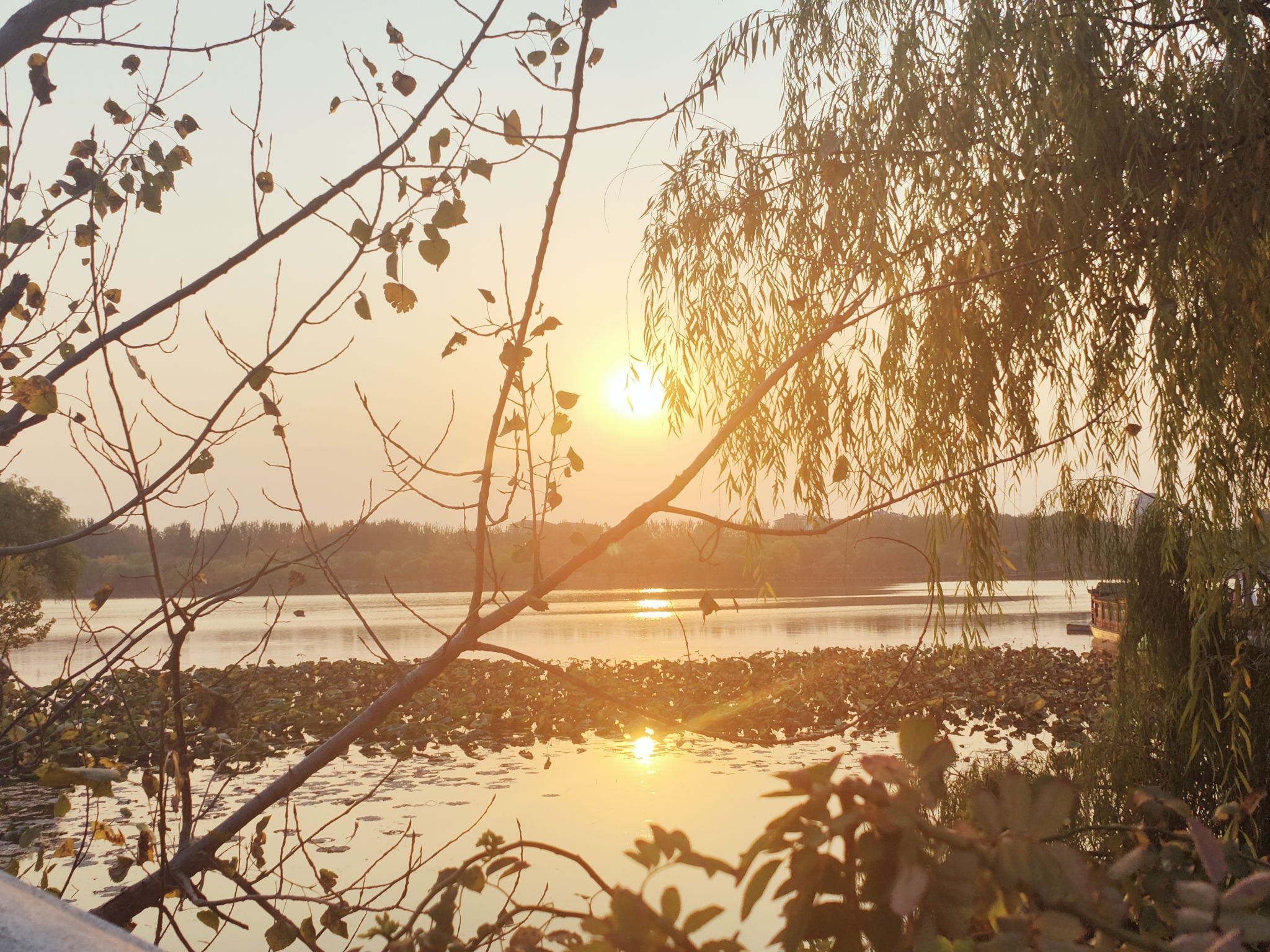 鸢都湖旅行图片 2