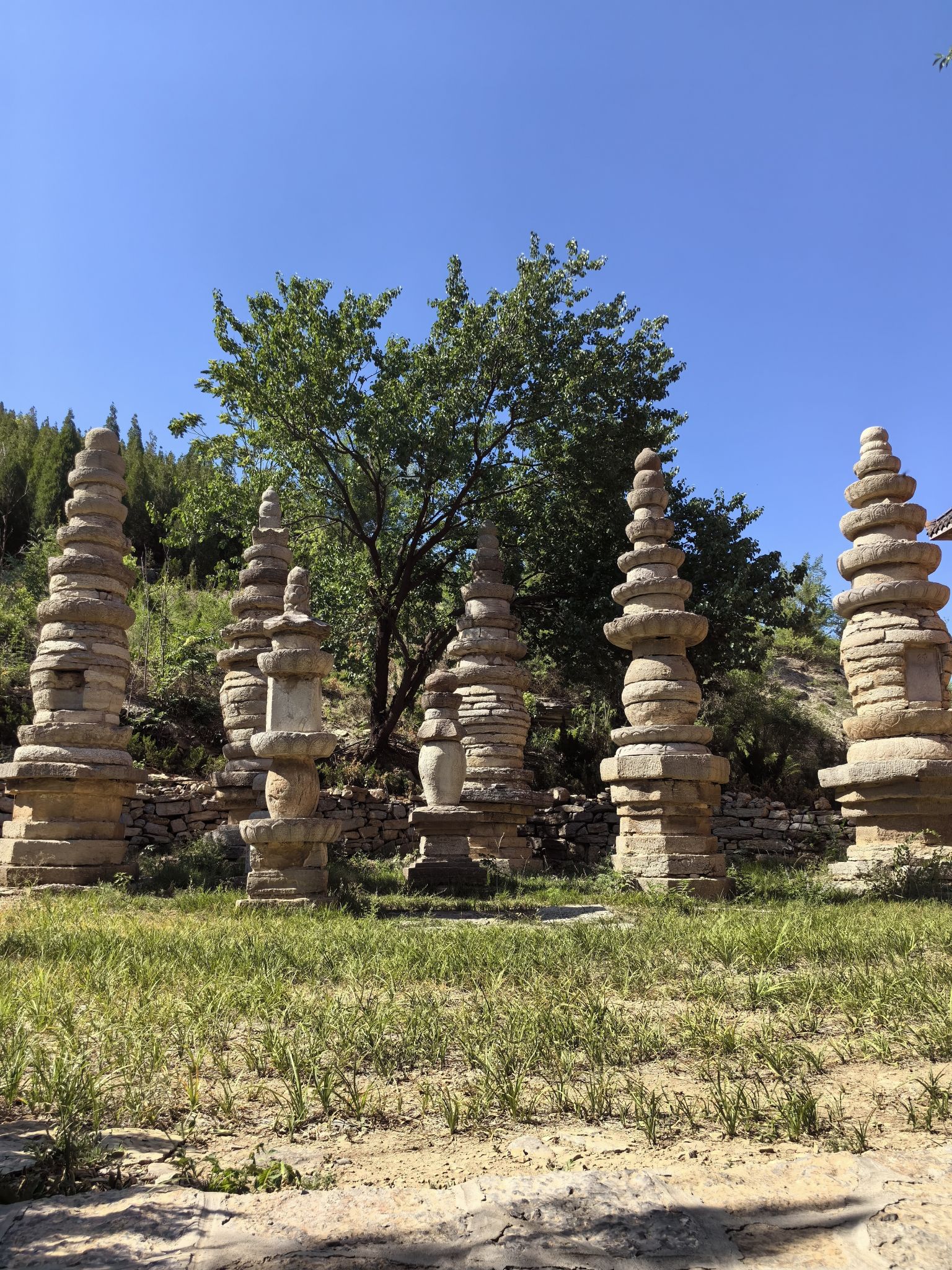 后寺墓塔林旅行图片 2