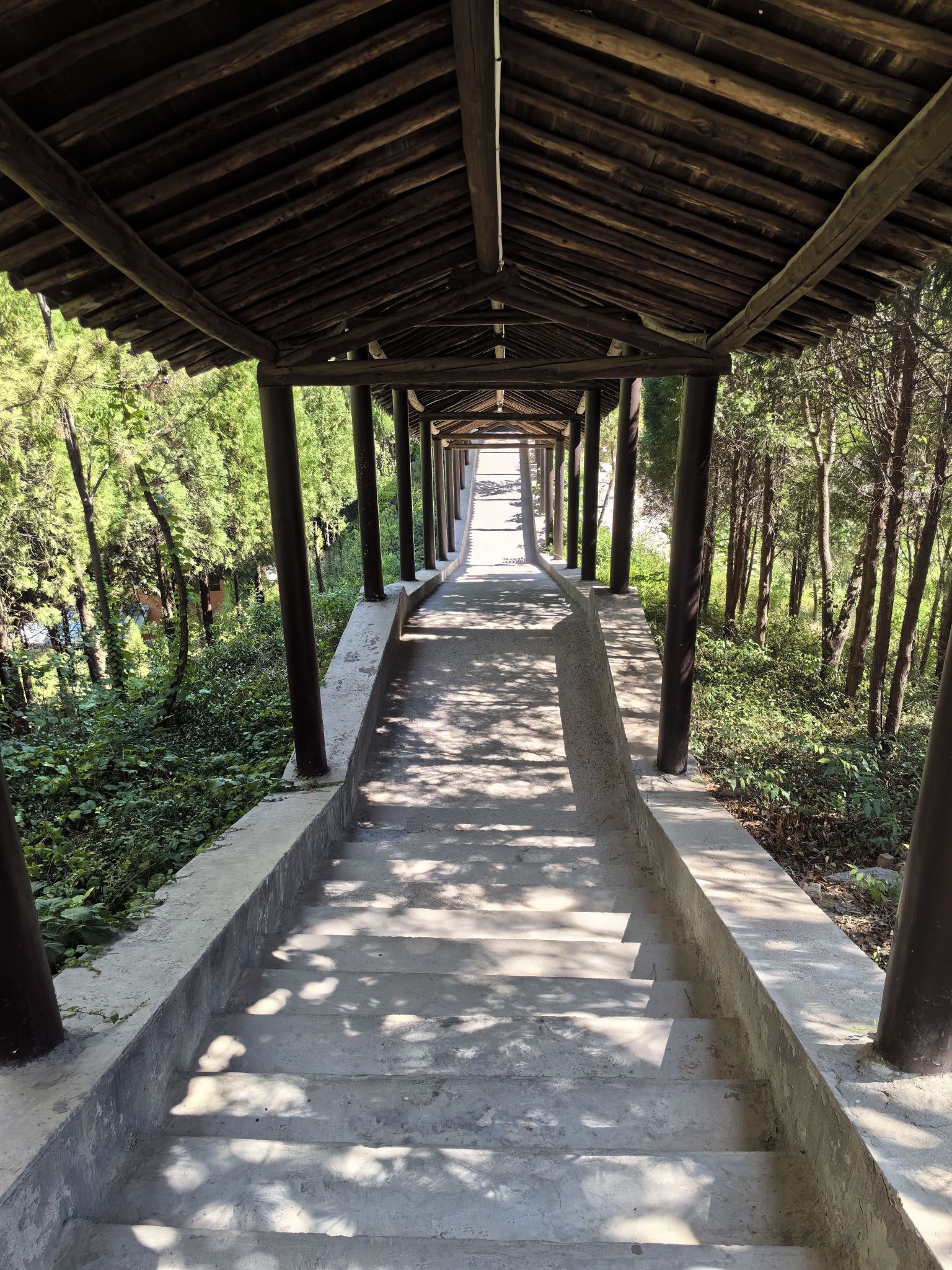 后寺墓塔林旅行图片 3