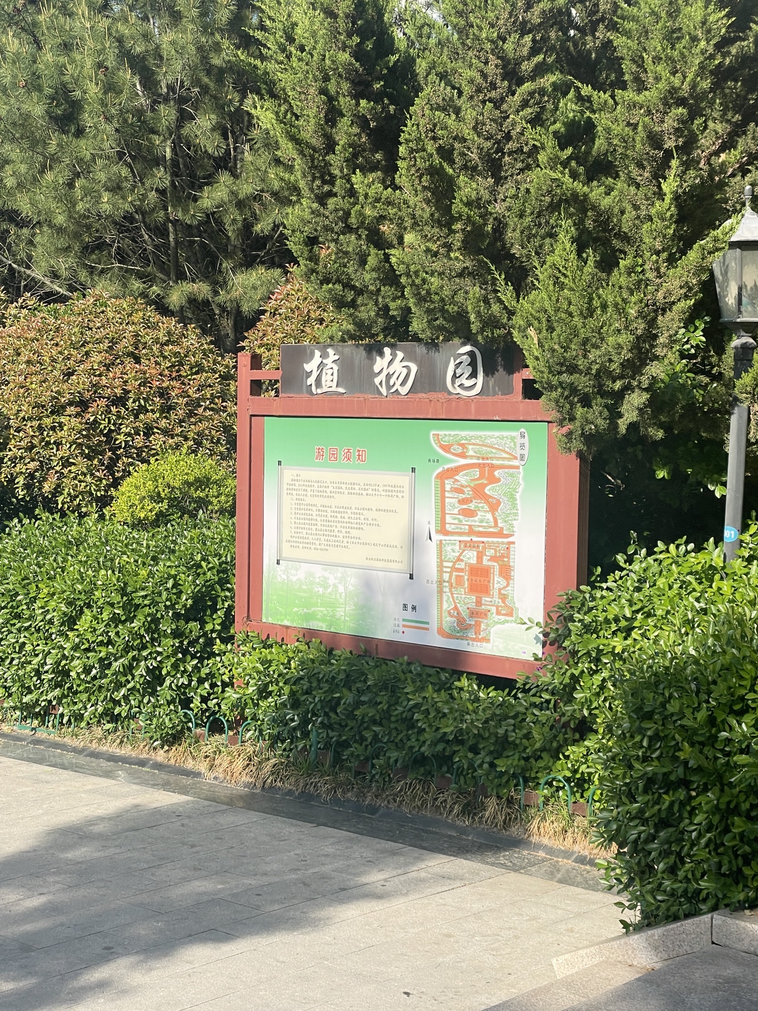 安丘植物园旅行图片 1