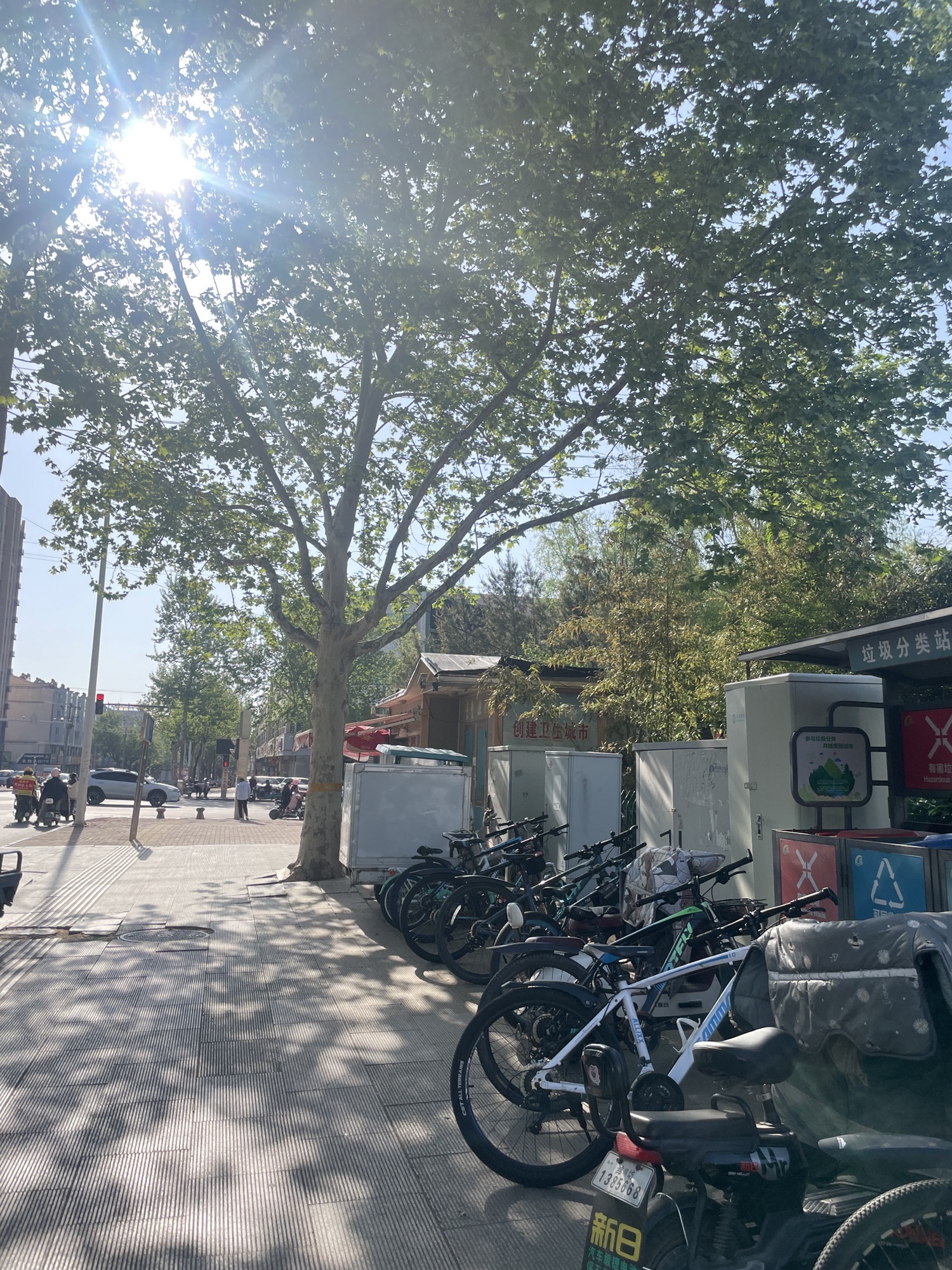 安丘植物园旅行图片 2