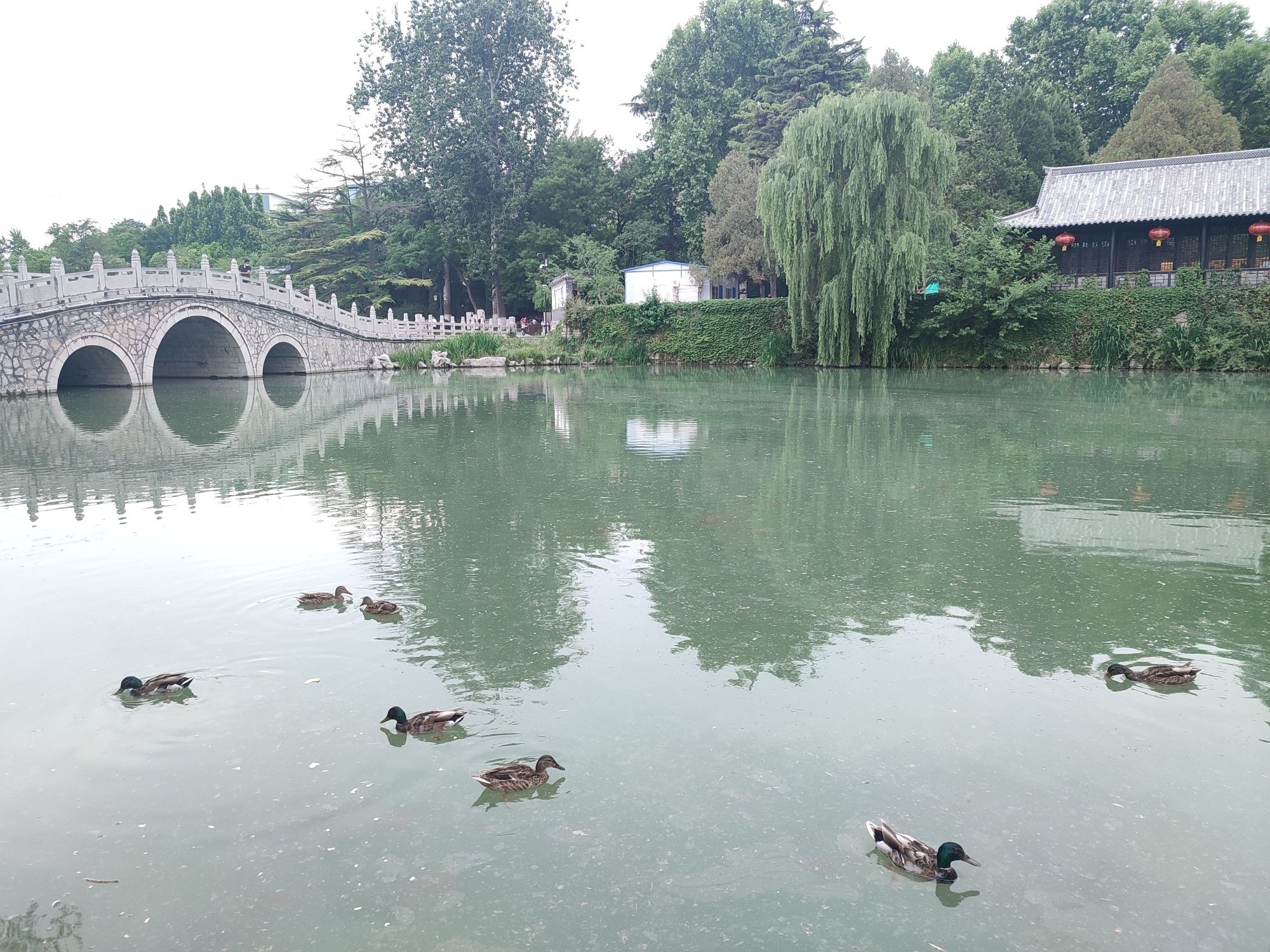 范公亭公园旅行图片 1