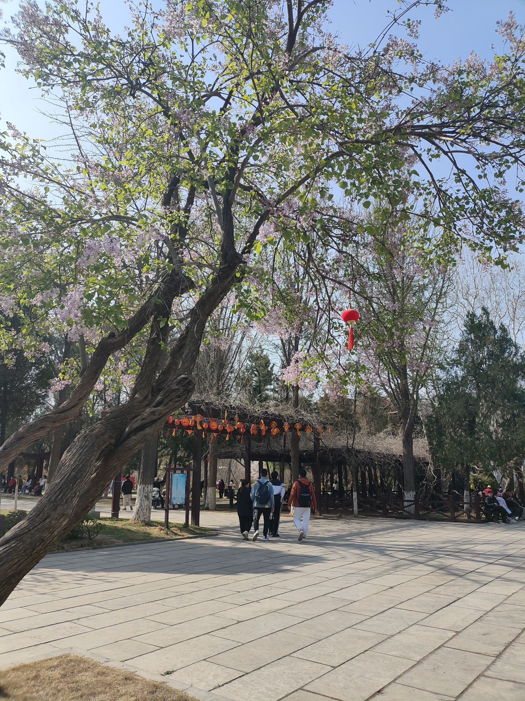 范公亭公园旅行图片 1