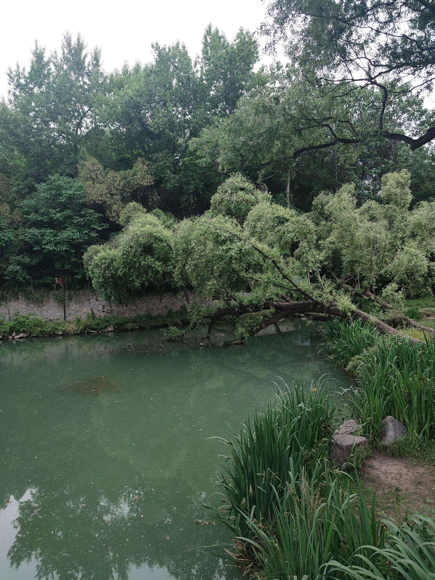 范公亭公园旅行图片 2