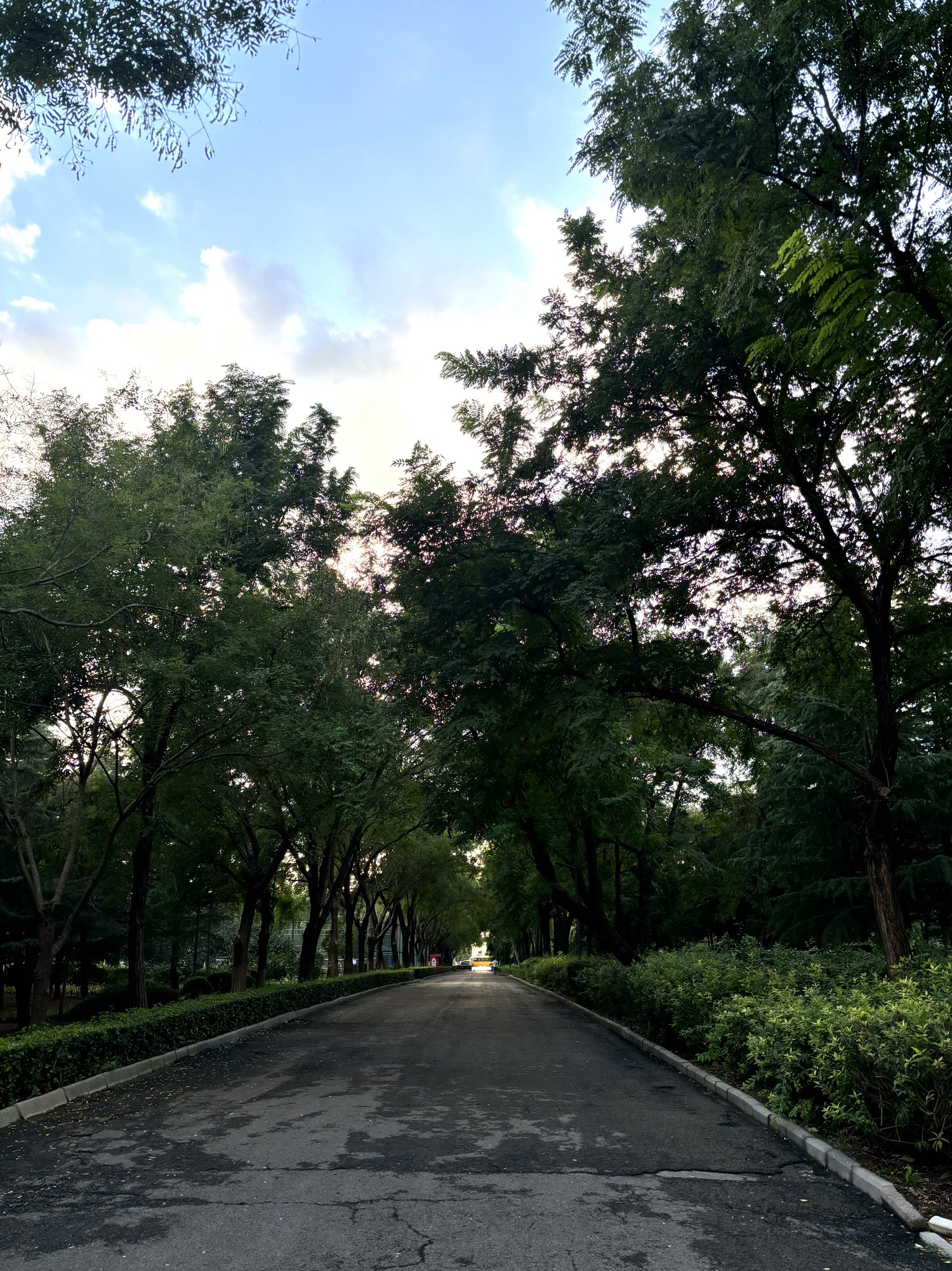 彩虹公园旅行图片 3