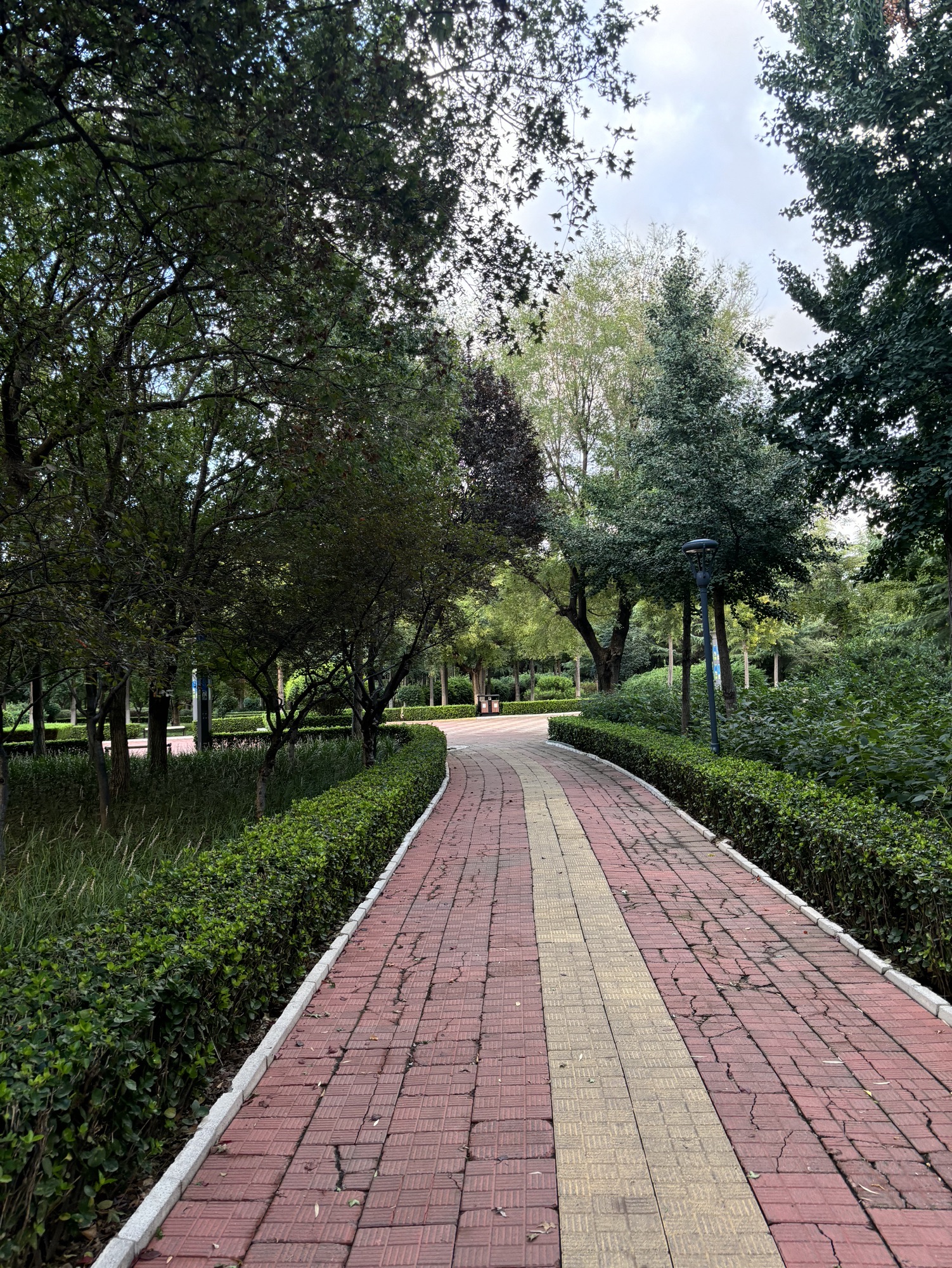 彩虹公园旅行图片 2