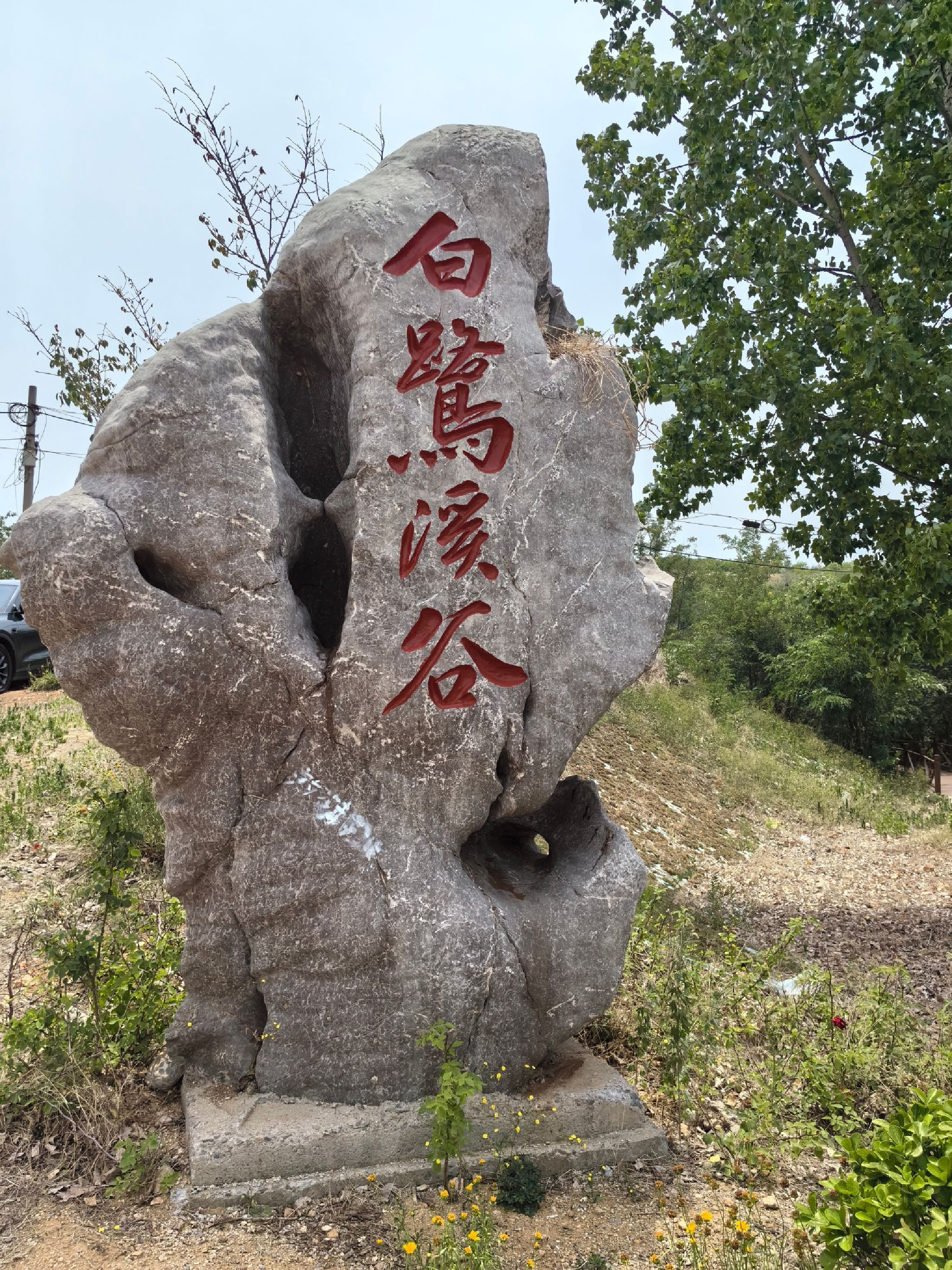 仙月湖风景区旅行图片 1