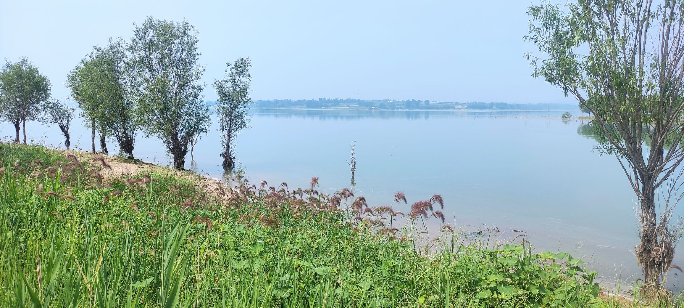 仙月湖风景区旅行图片 3