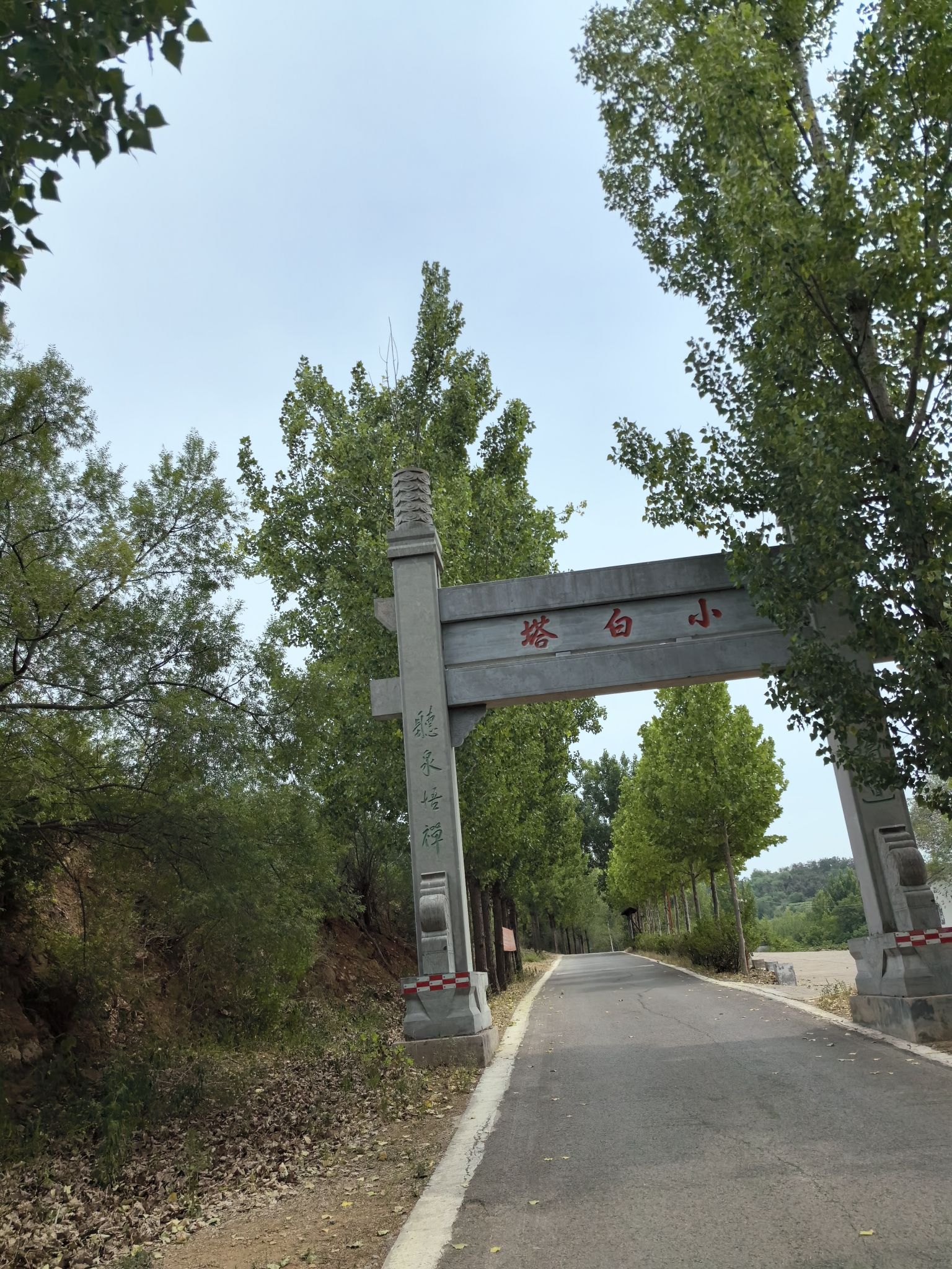 仙月湖风景区旅行图片 3