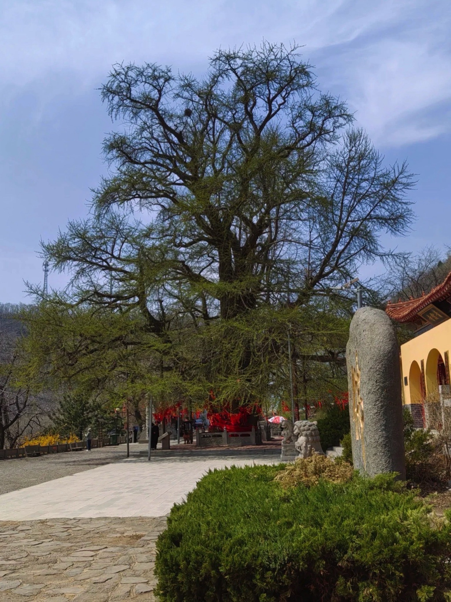 城顶山旅行图片 1