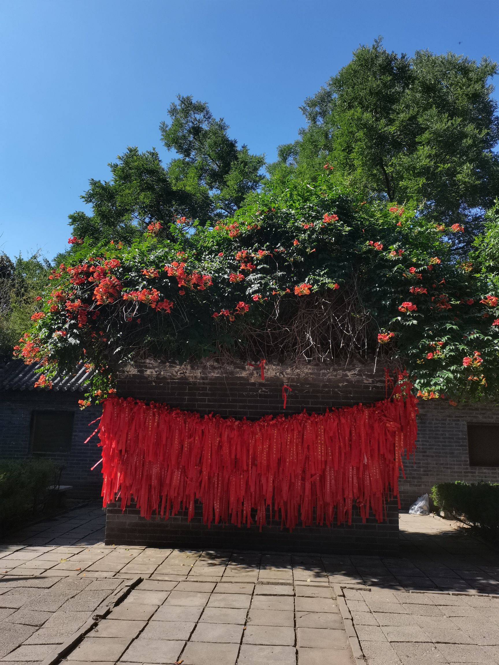 城顶山旅行图片 3