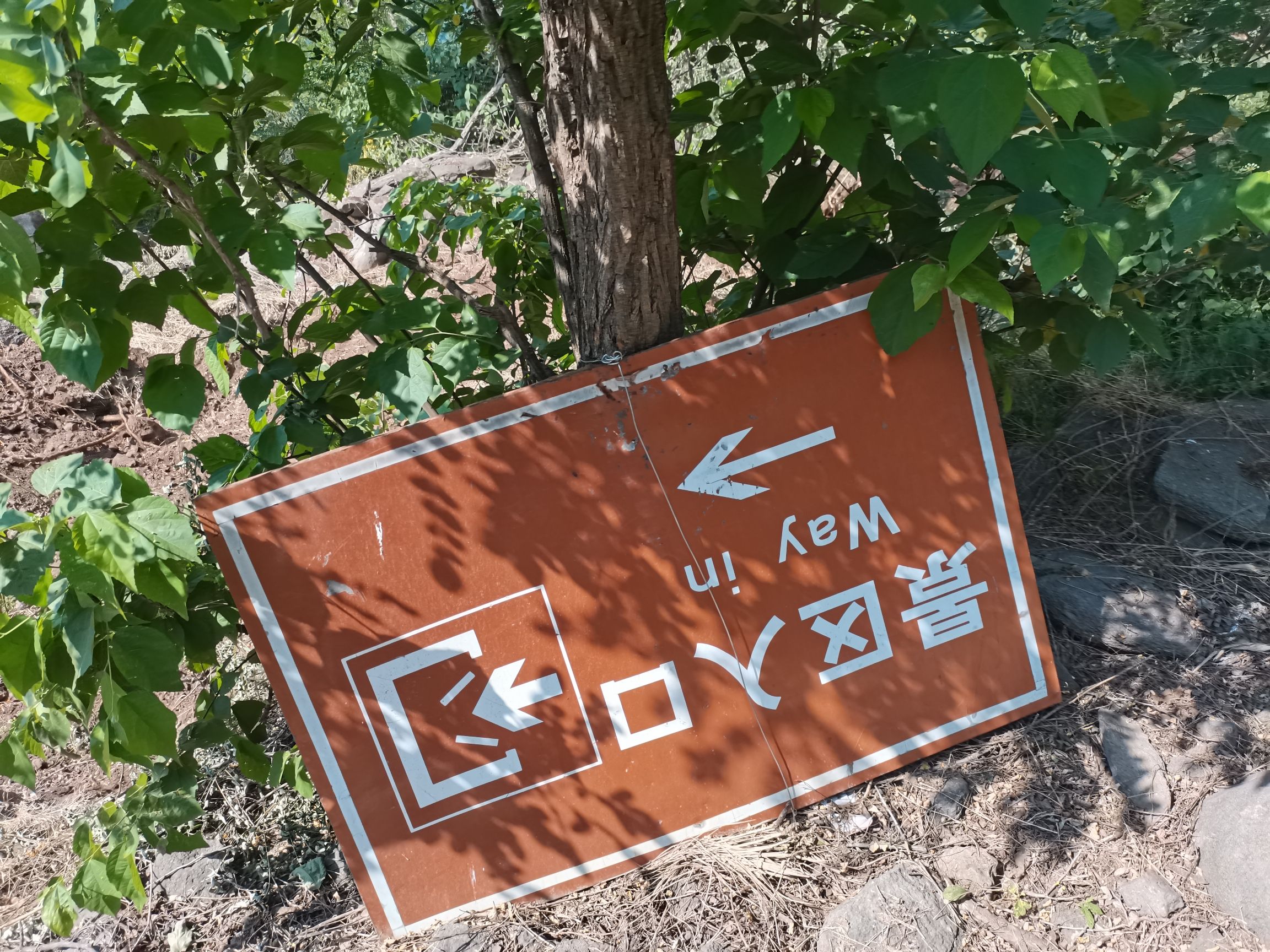 城顶山旅行图片 2