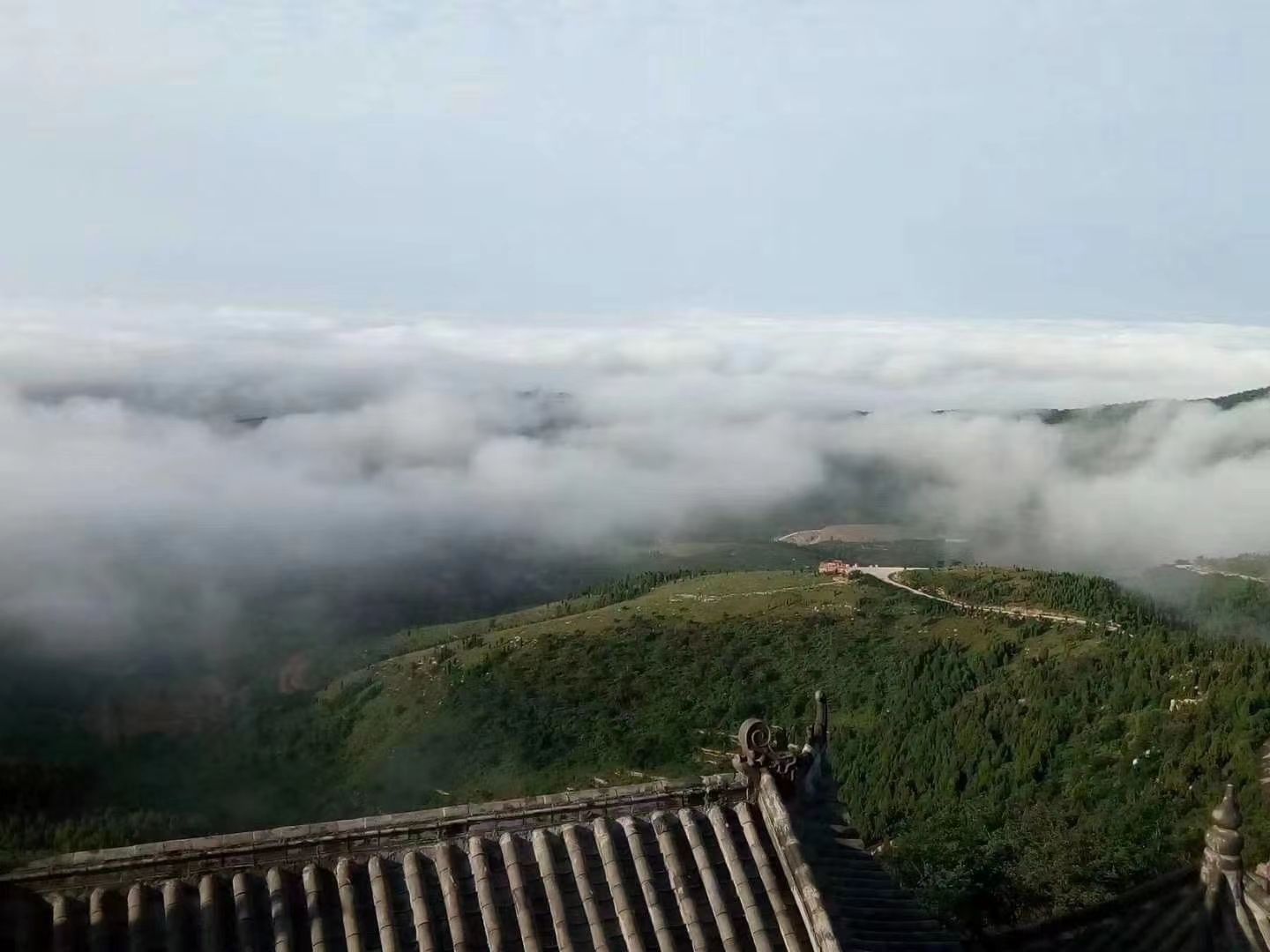 摘药山旅行图片 3