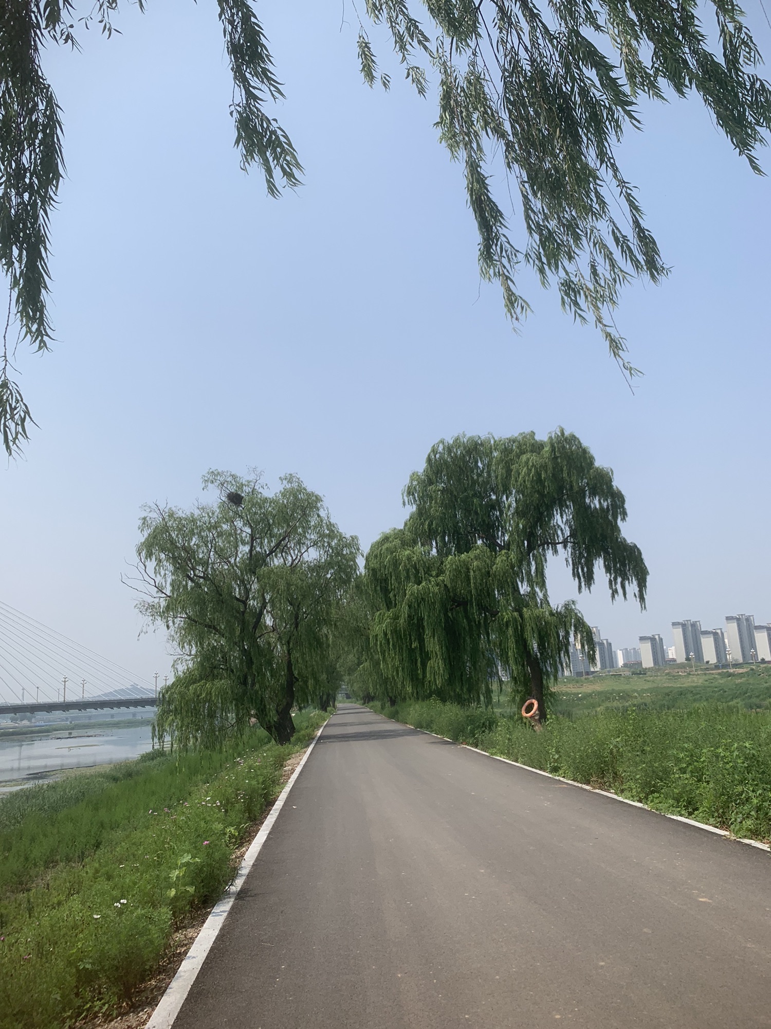 粟山风景区旅行图片 3