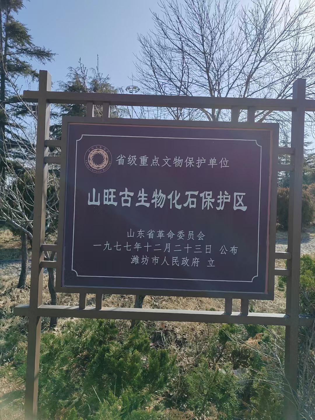 山东山旺国家地质公园旅行图片 3