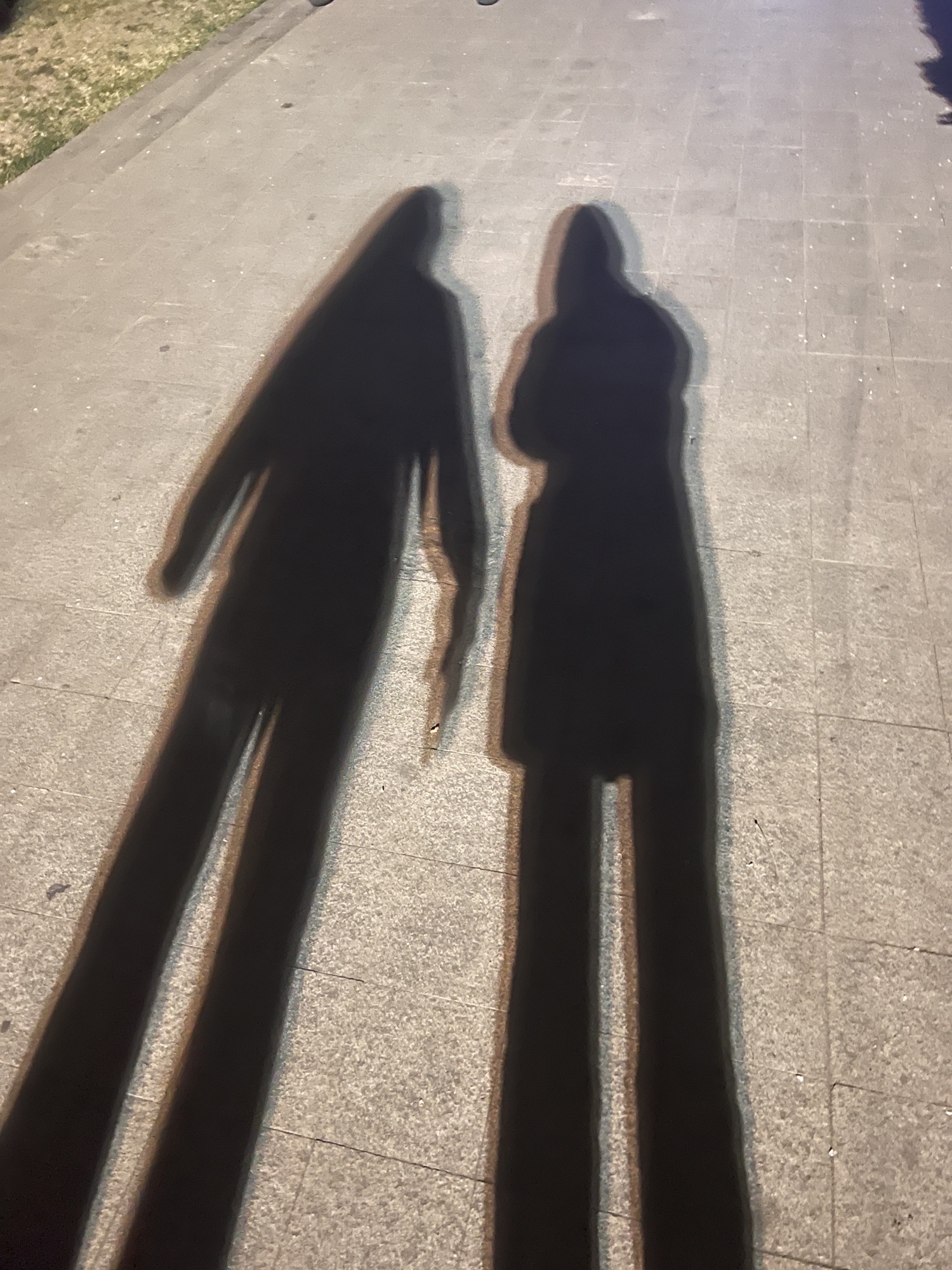 南溪公园旅行图片 1