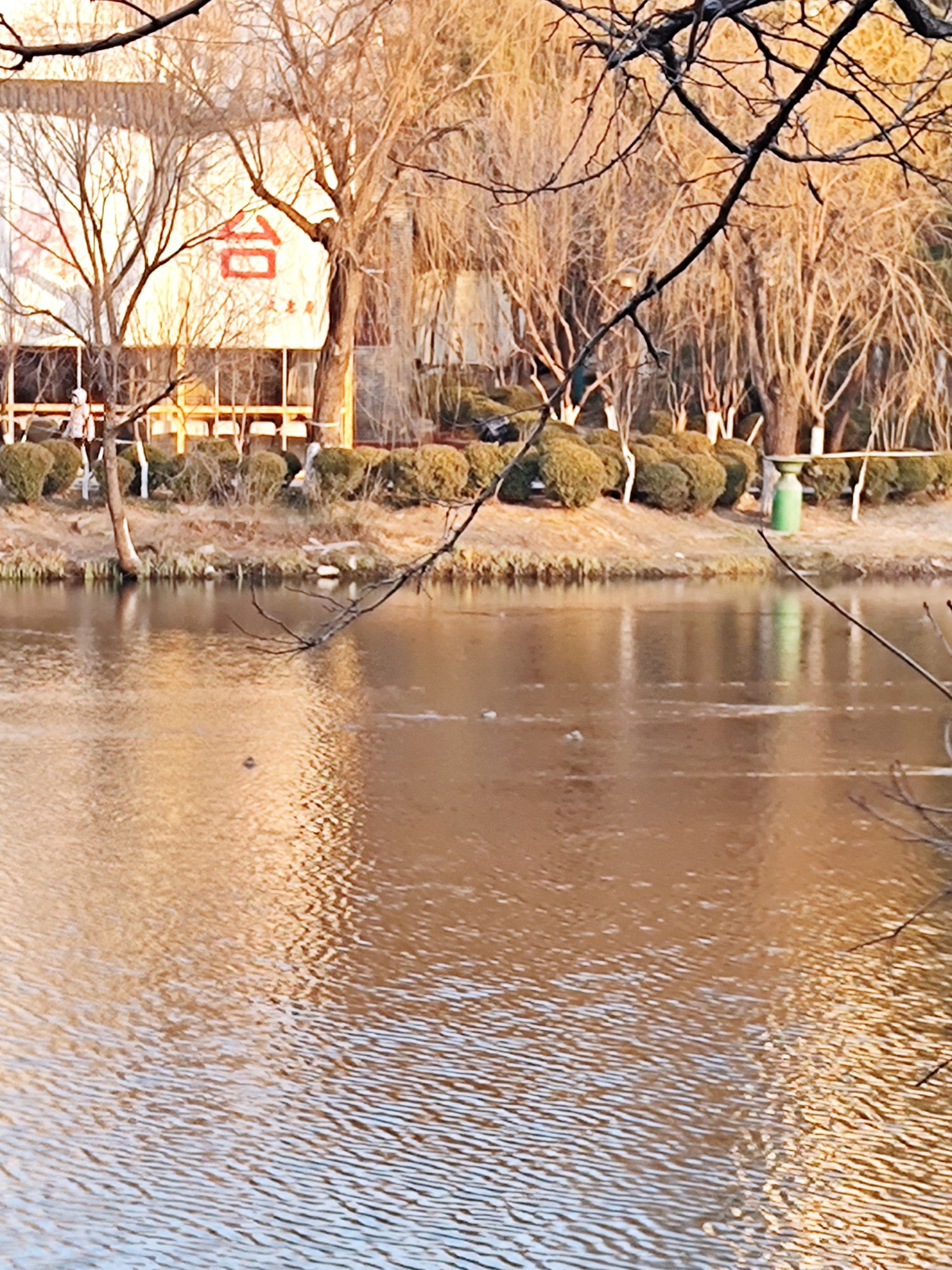 河滨公园旅行图片 1