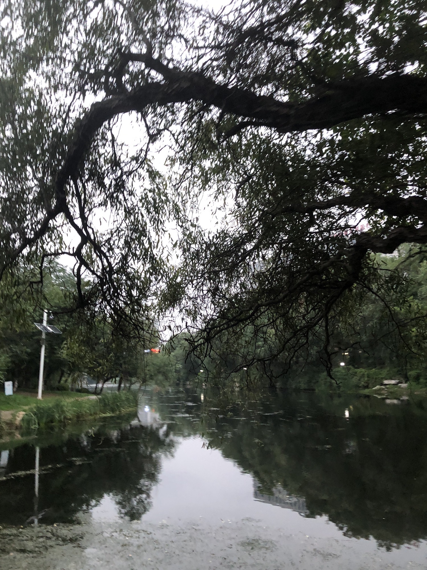 河滨公园旅行图片 1