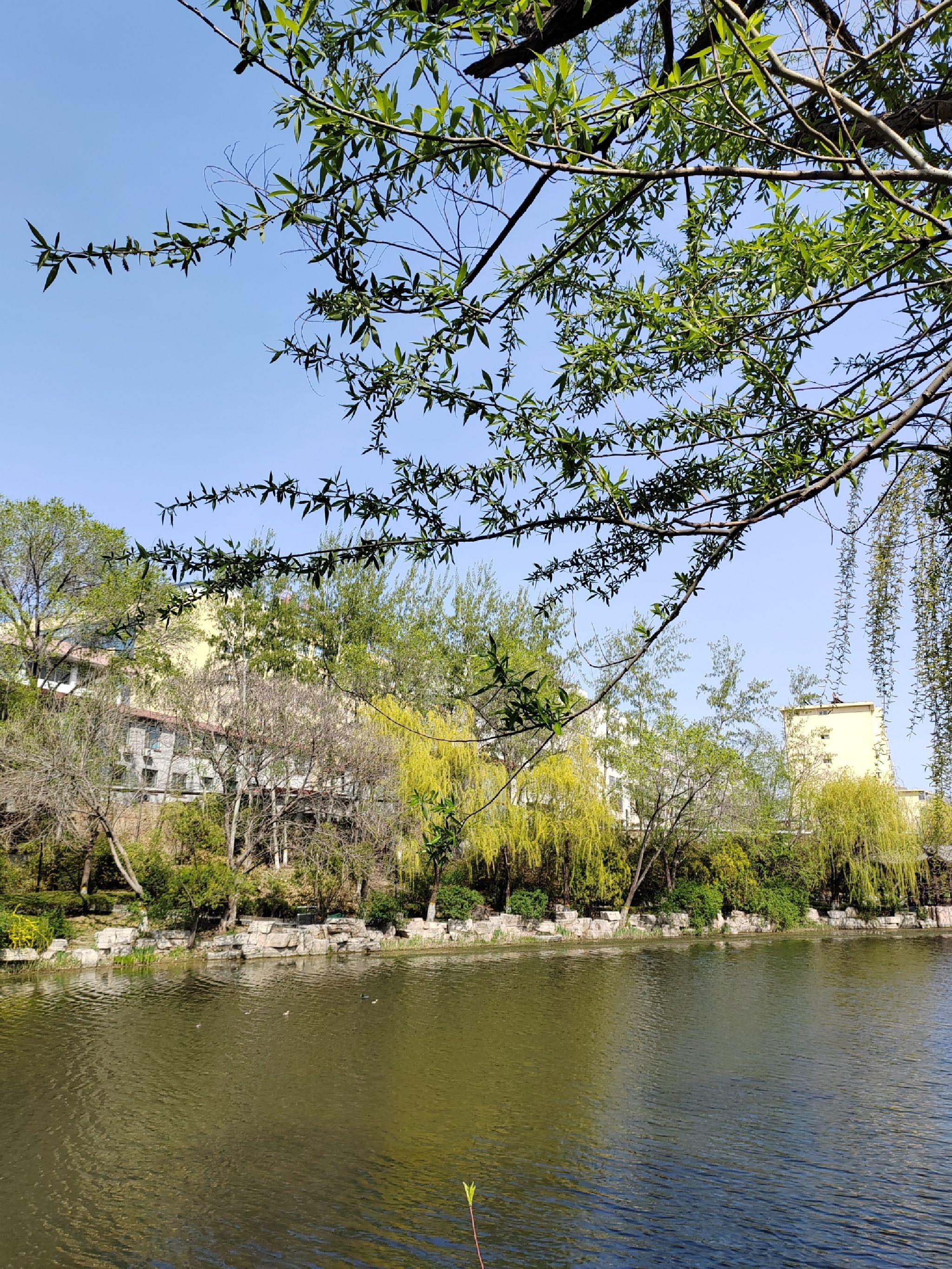 河滨公园旅行图片 1