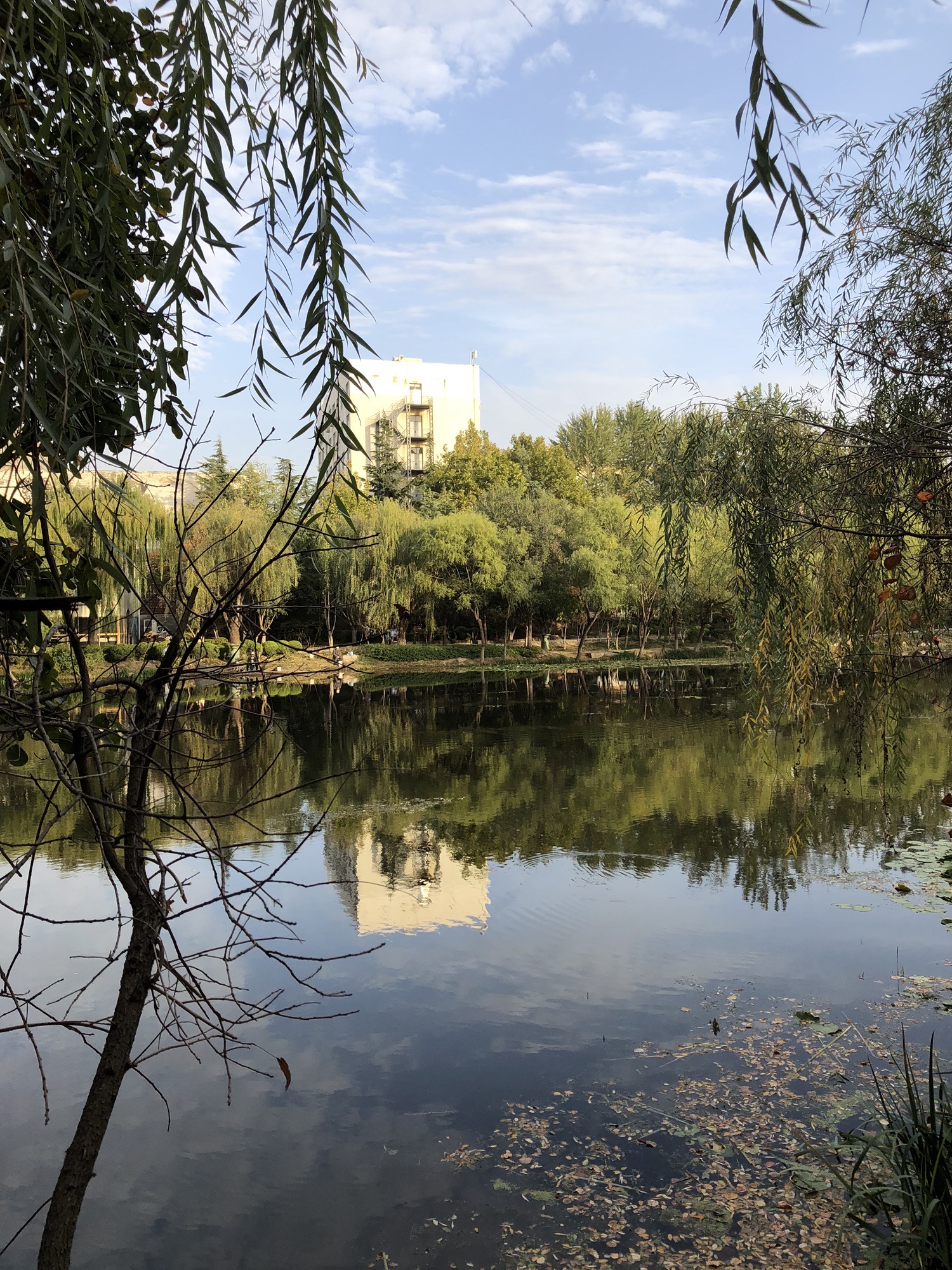 河滨公园旅行图片 2