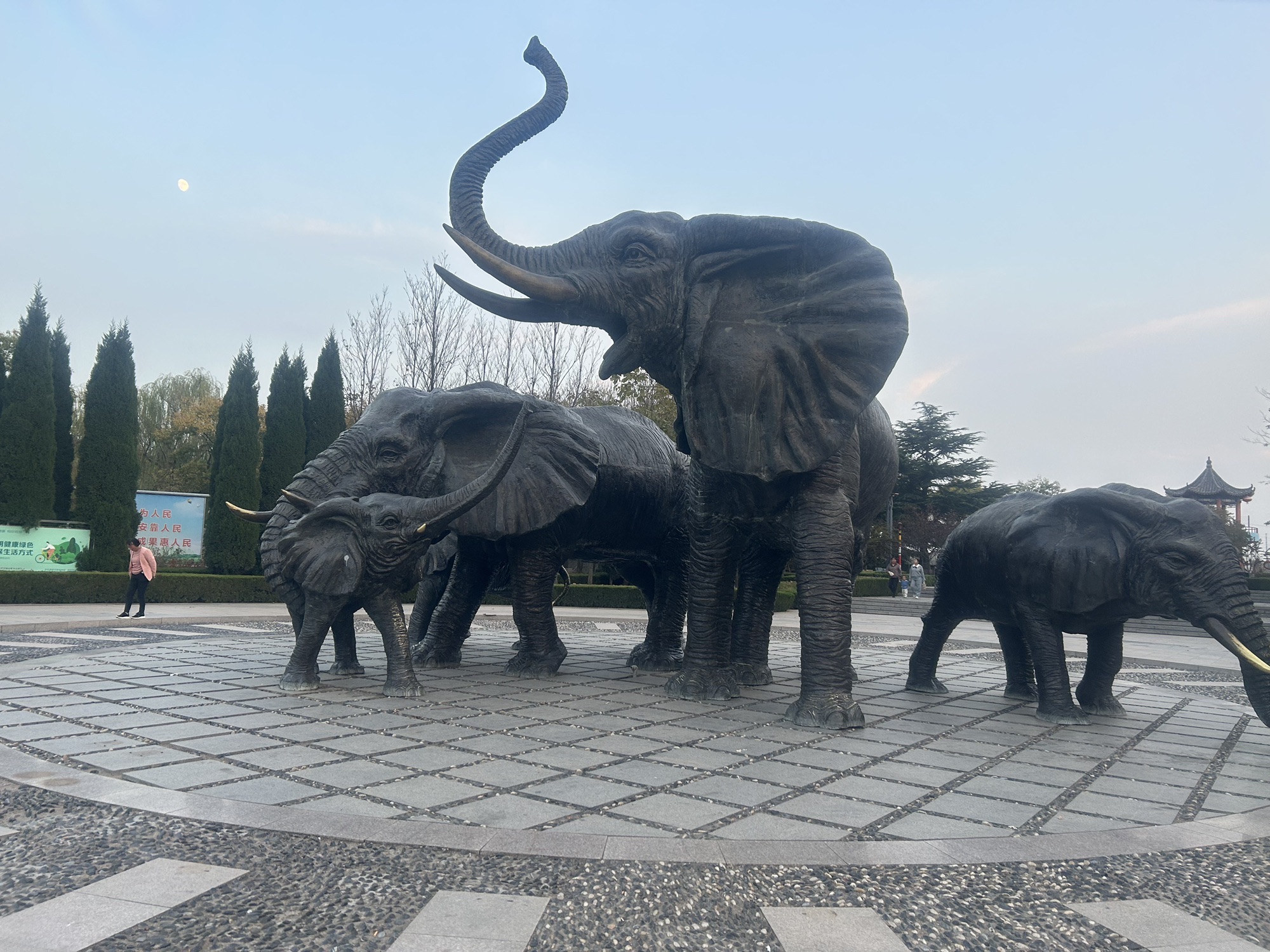 南湖植物园旅行图片 1