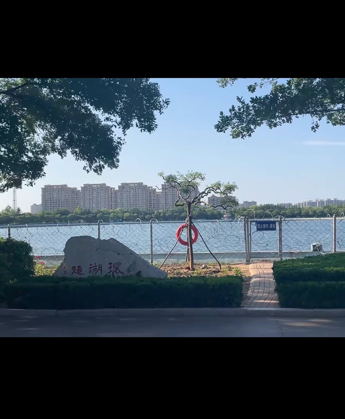 南湖植物园旅行图片 3