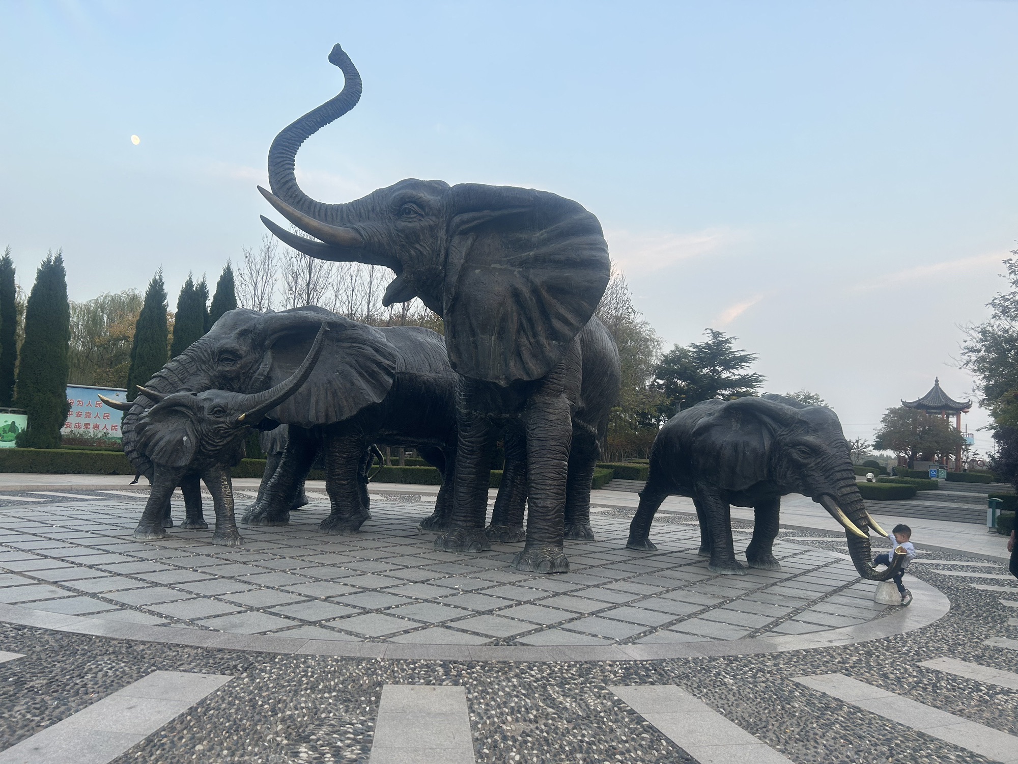 南湖植物园旅行图片 2