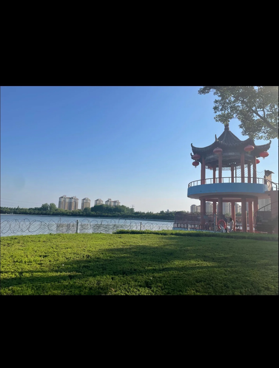 南湖植物园旅行图片 2