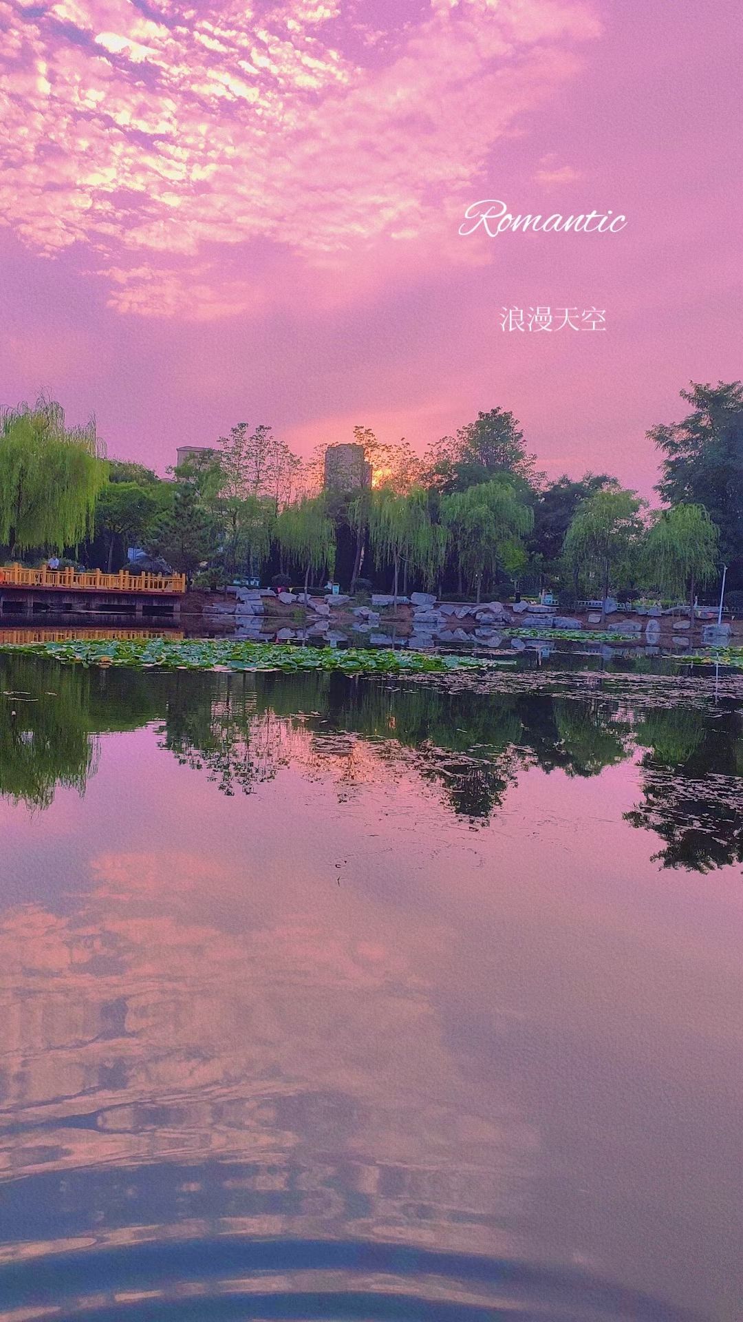 南湖植物园旅行图片 1
