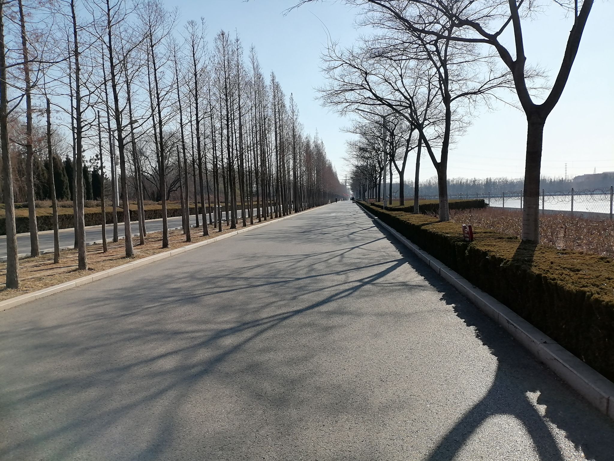 南湖植物园旅行图片 2
