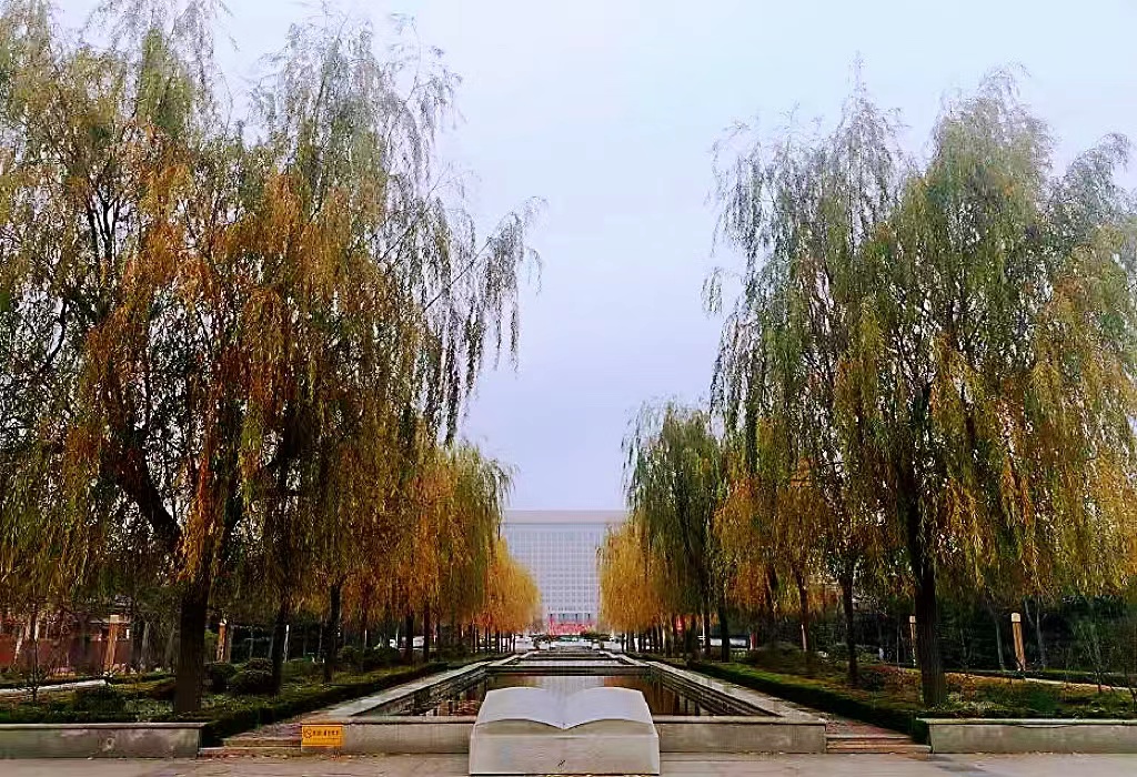文体公园旅行图片 2