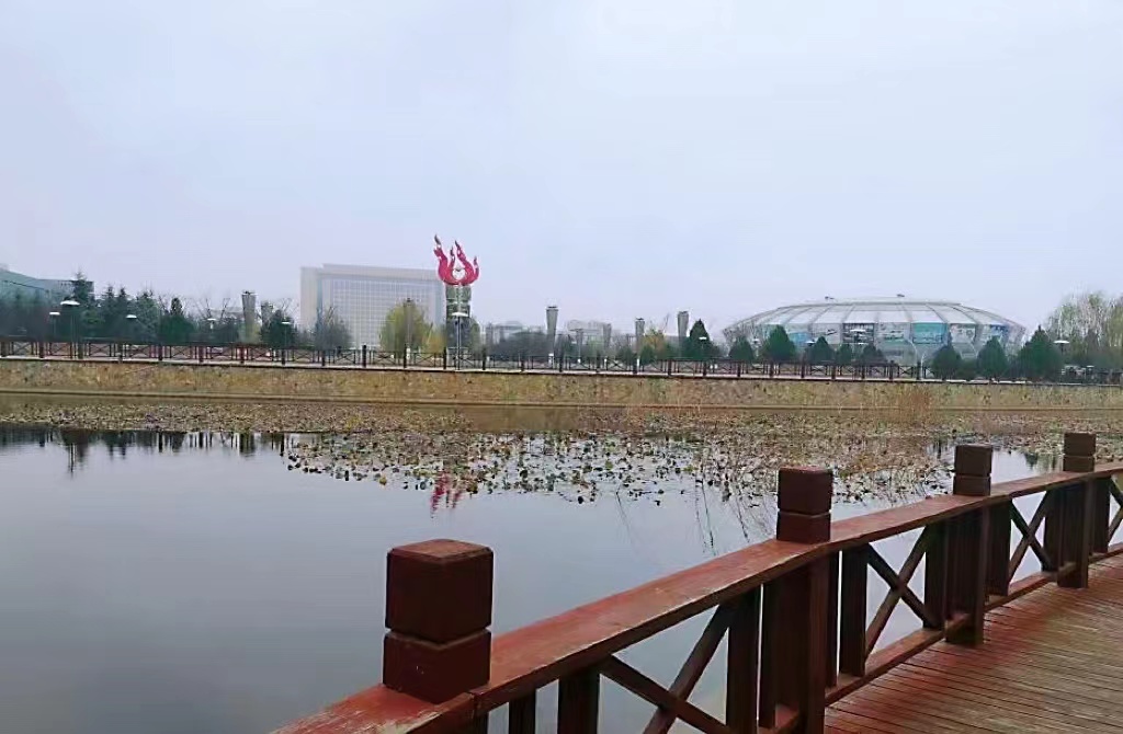 文体公园旅行图片 3