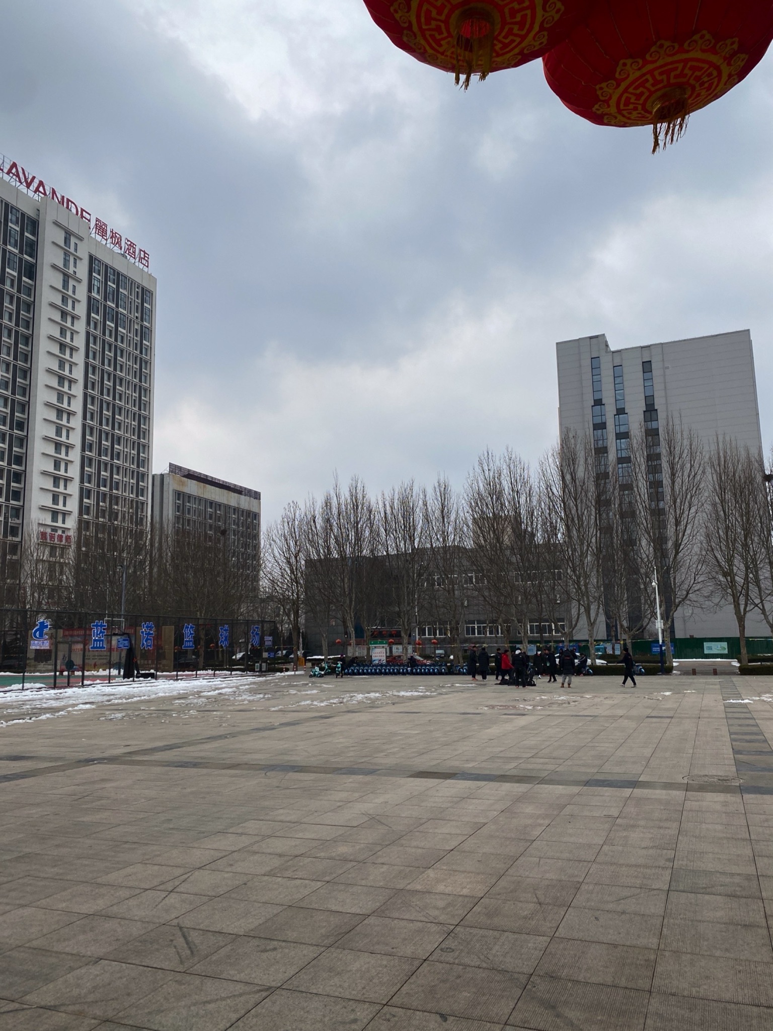 文体公园旅行图片 3
