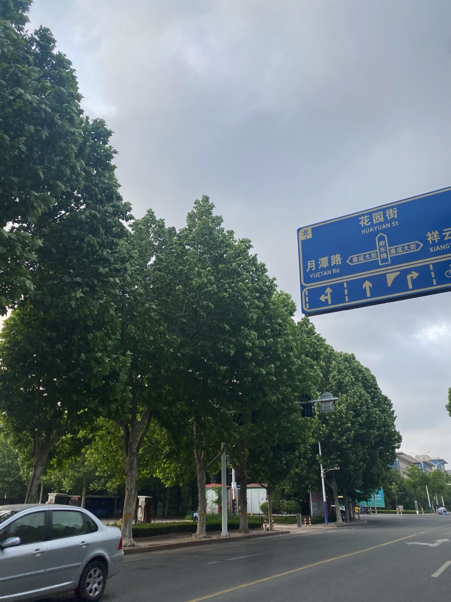 文体公园旅行图片 1