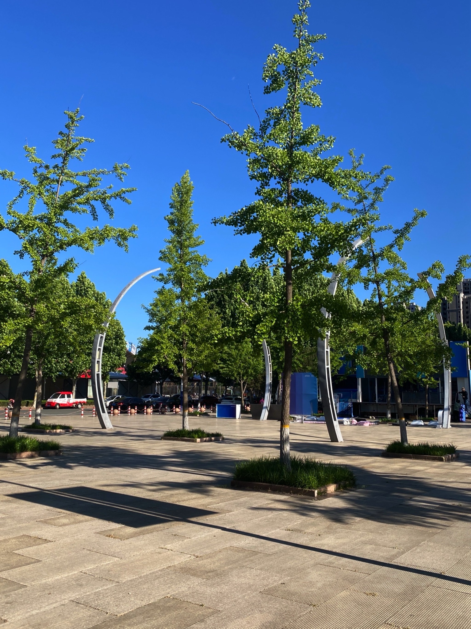 文体公园旅行图片 2
