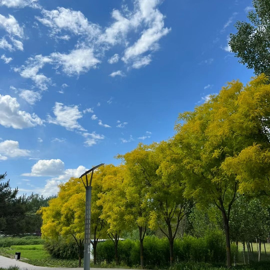 浯河公园旅行图片 3