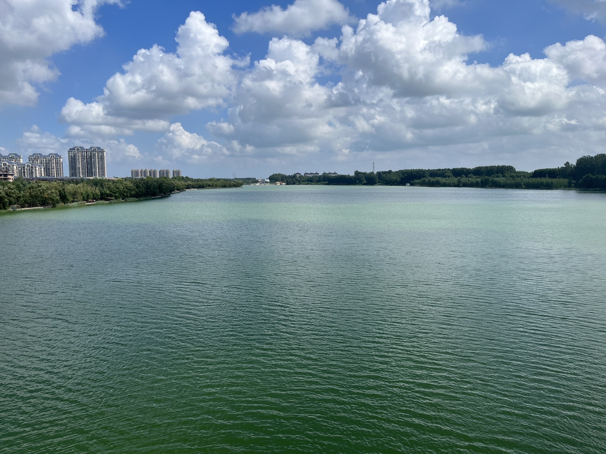 潍水风情湿地公园旅行图片 1