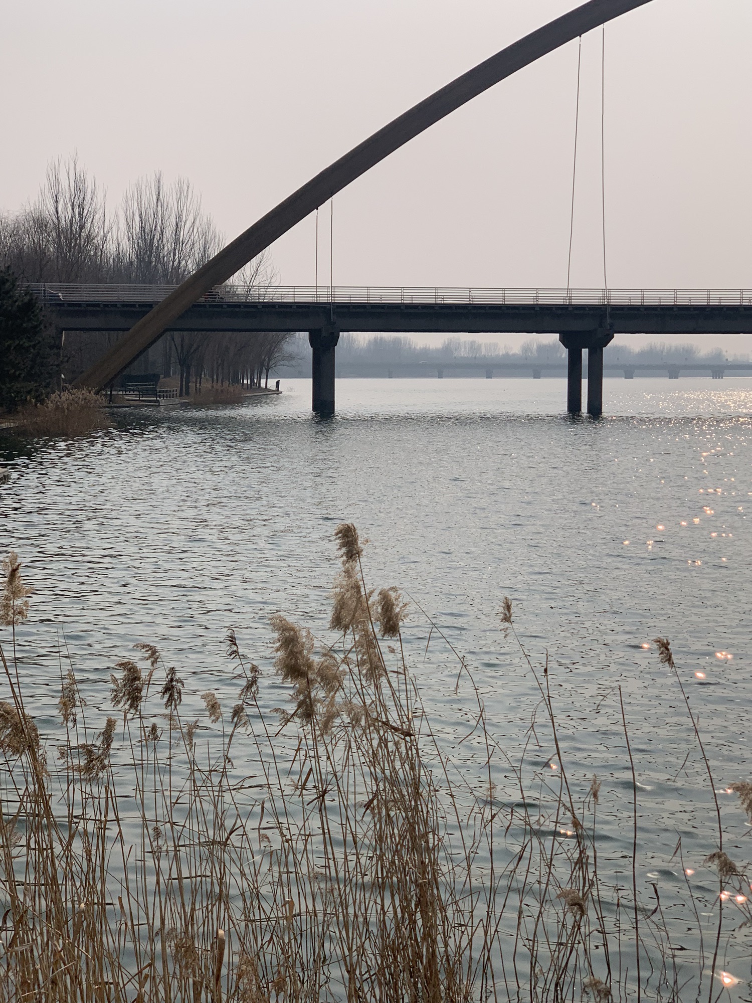 潍水风情湿地公园旅行图片 2