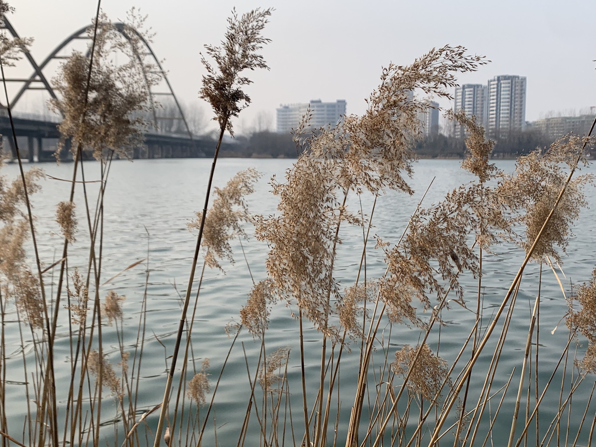 潍水风情湿地公园旅行图片 3