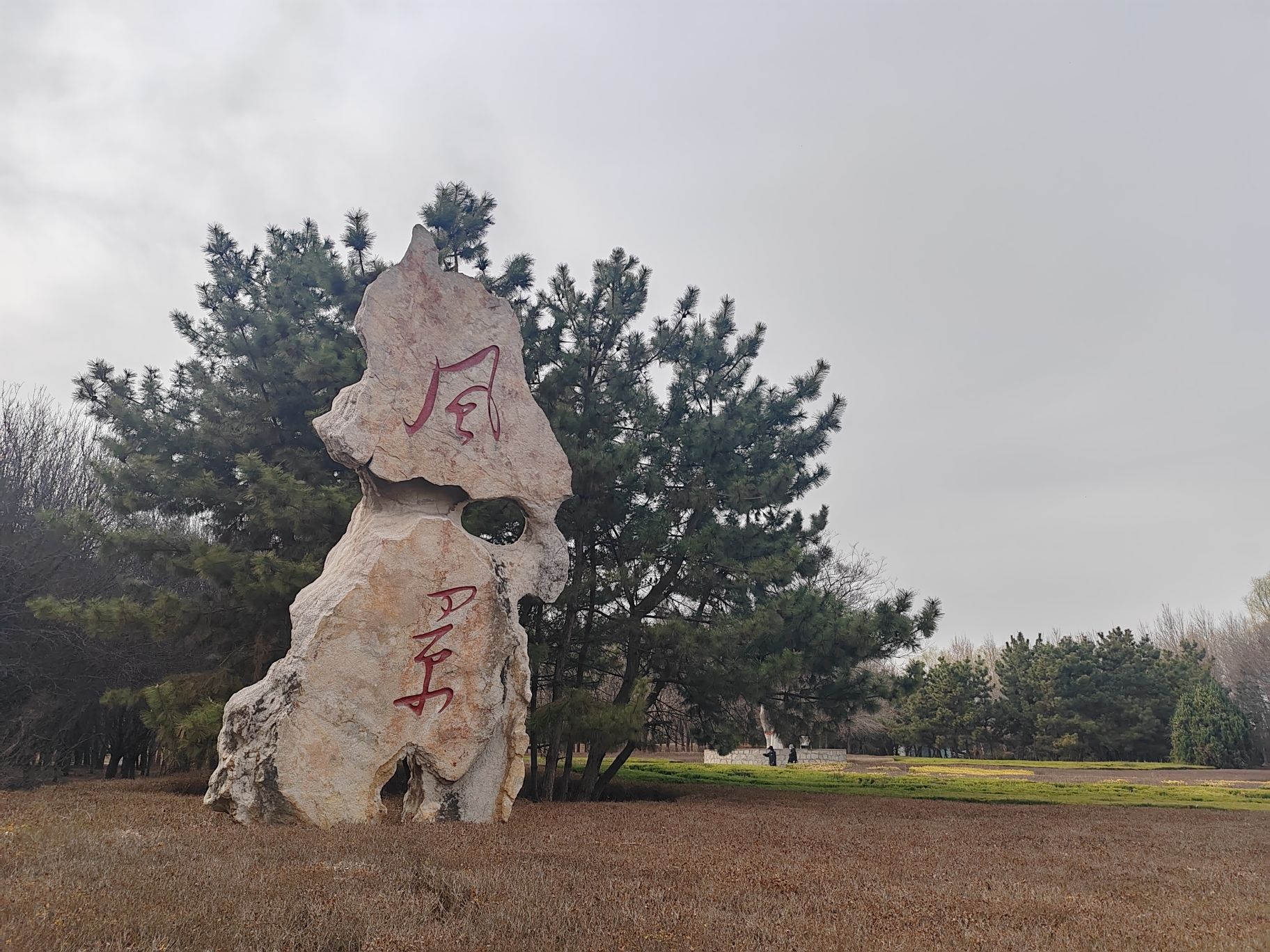 潍水风情湿地公园旅行图片 3
