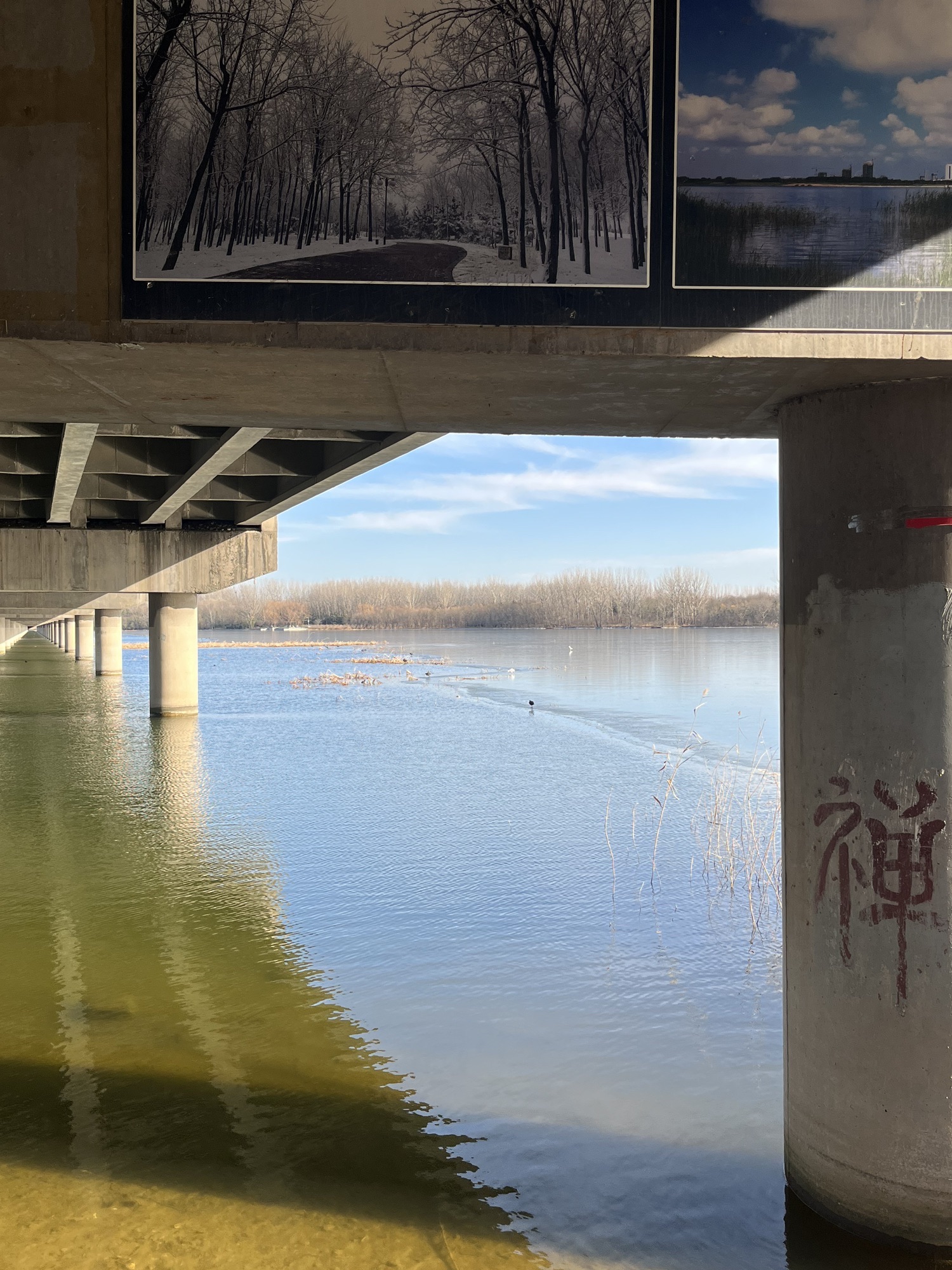 潍水风情湿地公园旅行图片 3