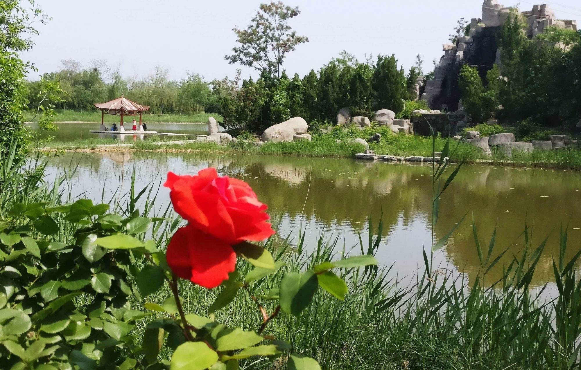 潍水风情湿地公园旅行图片 2