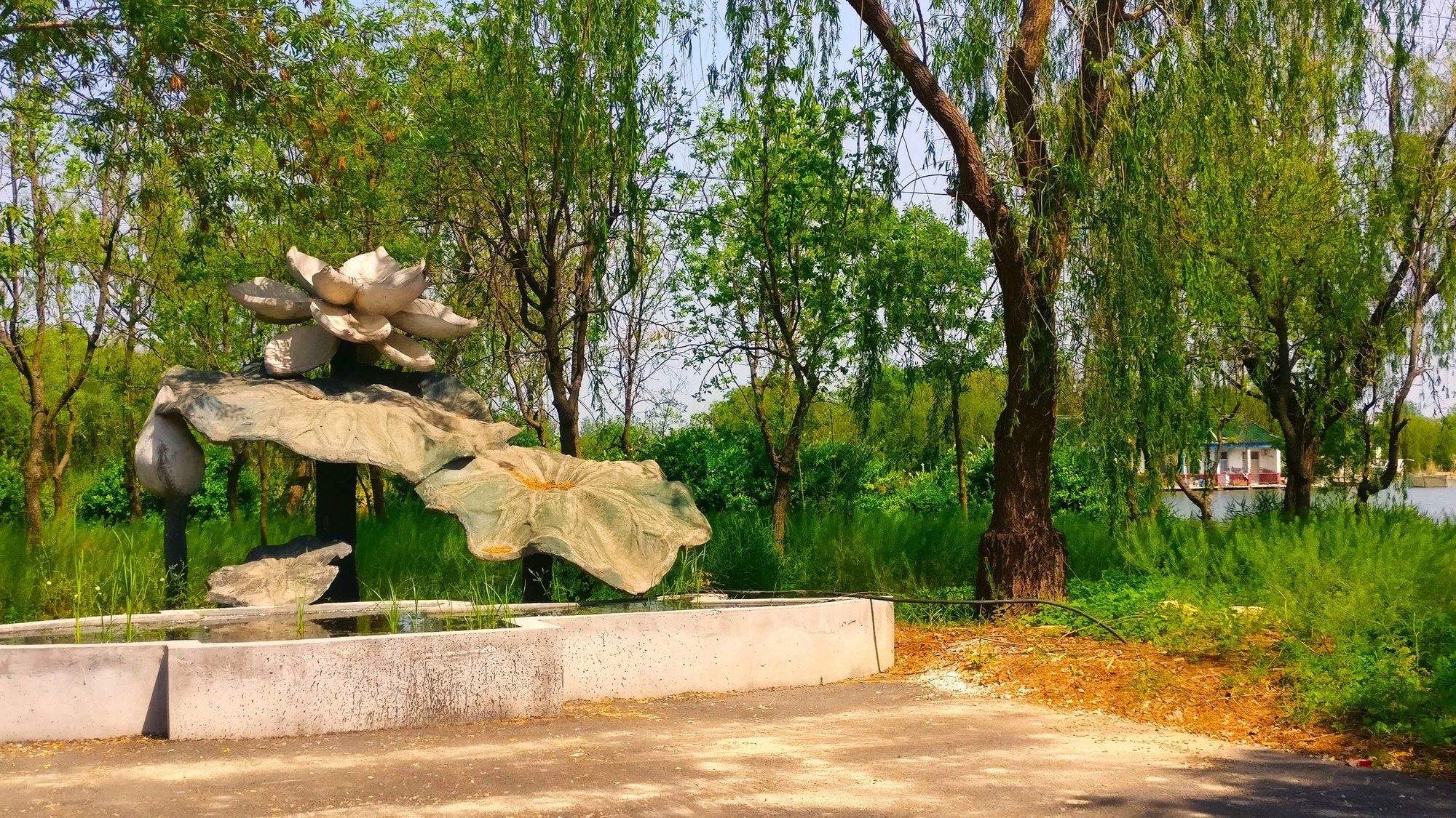 潍水风情湿地公园旅行图片 3