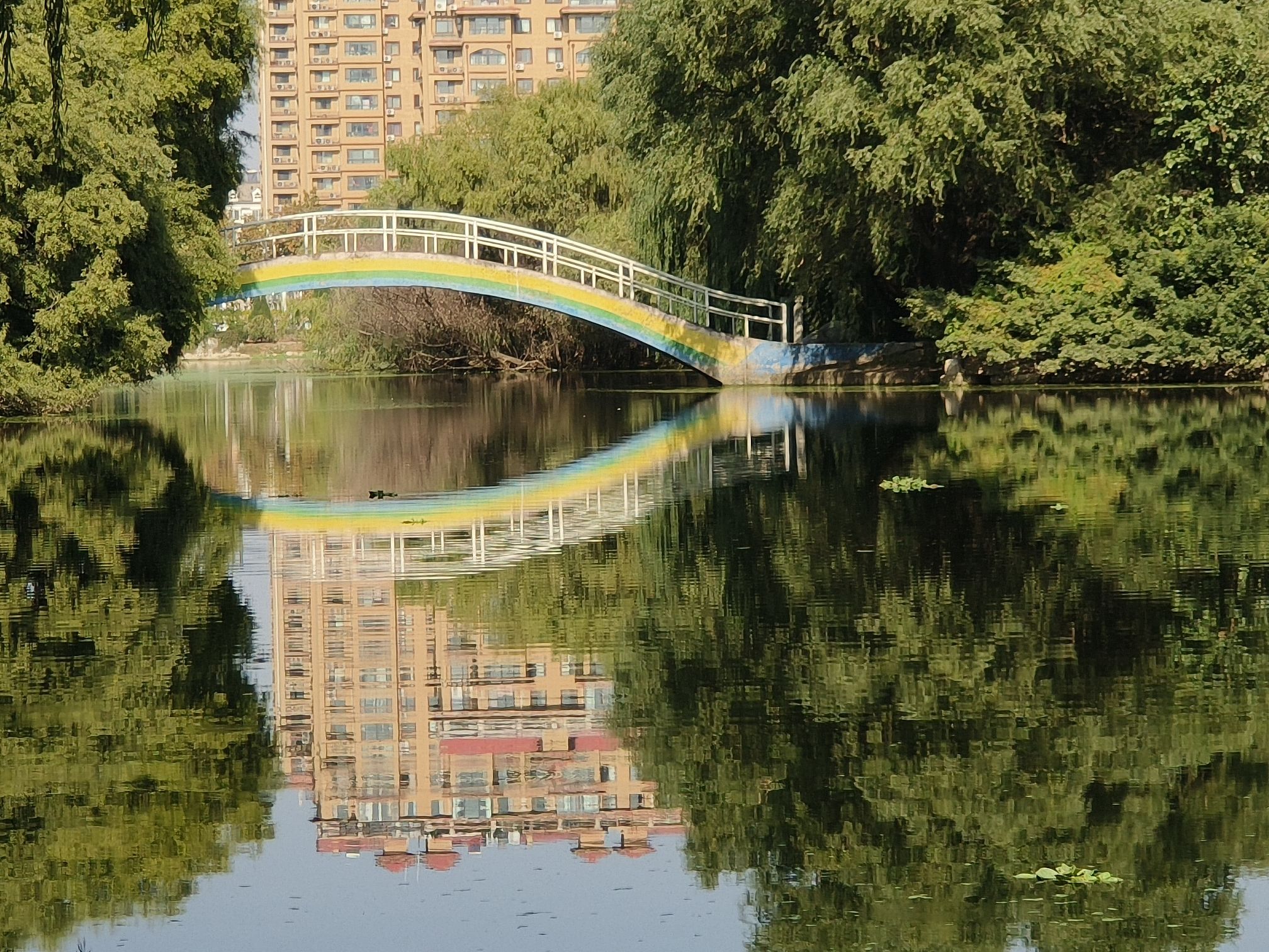 北海公园旅行图片 1