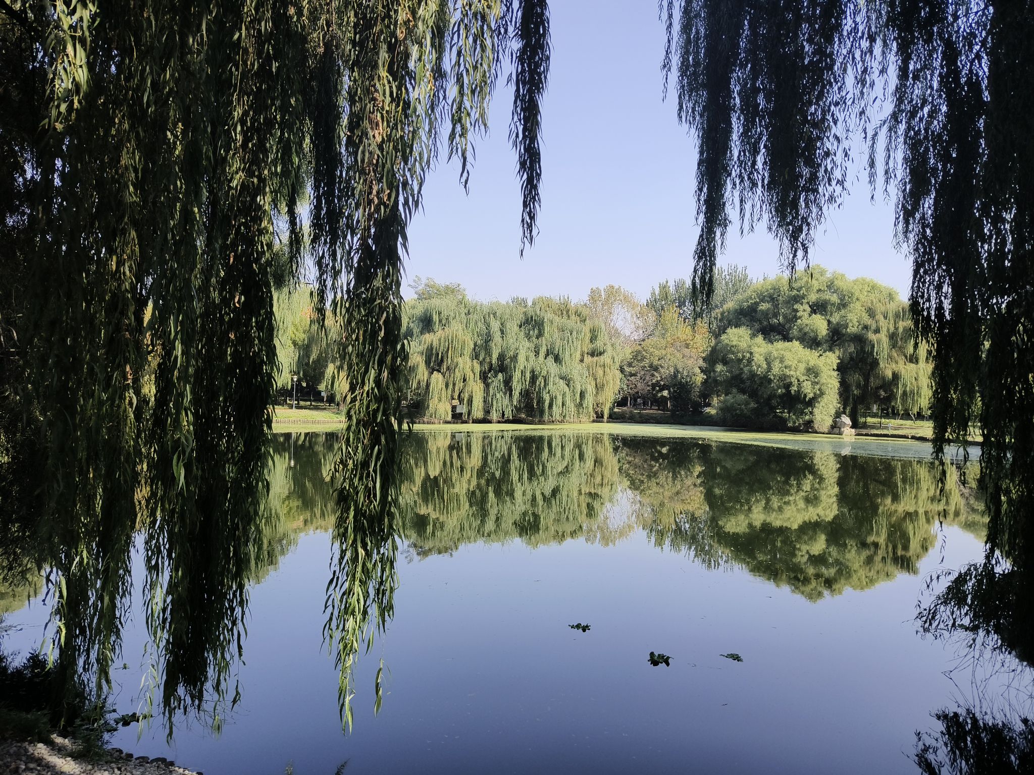 北海公园旅行图片 2
