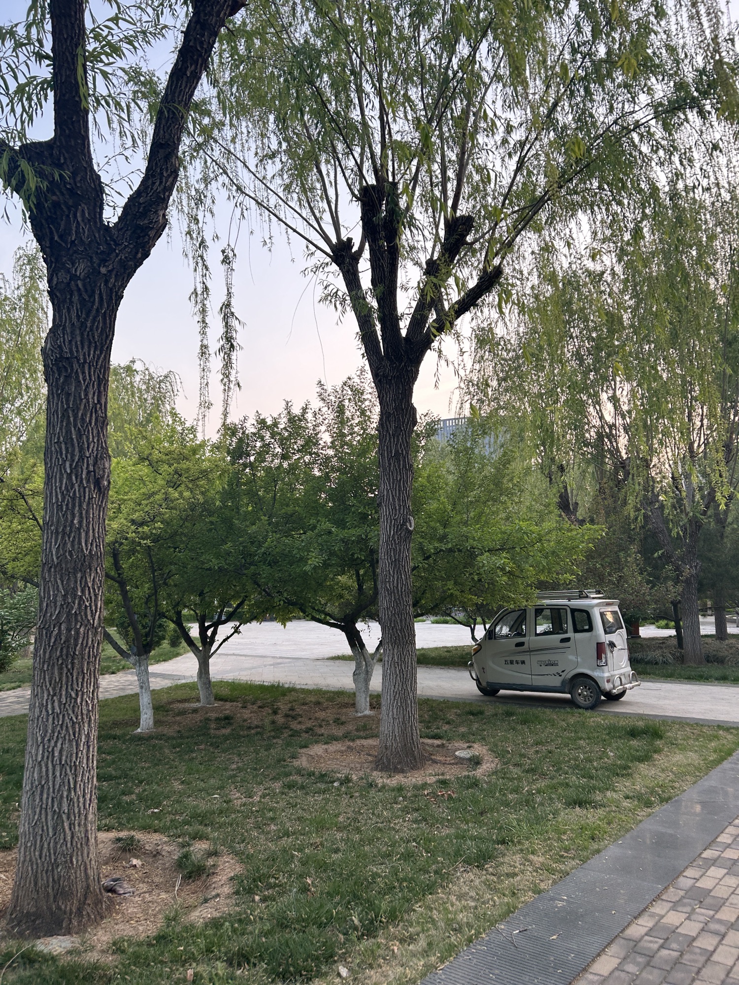 东城公园旅行图片 3