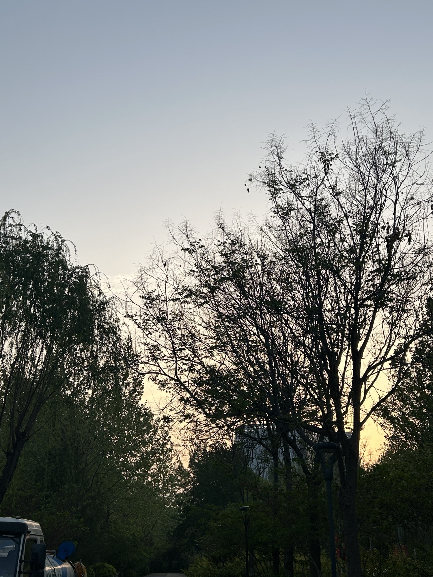 东城公园旅行图片 2