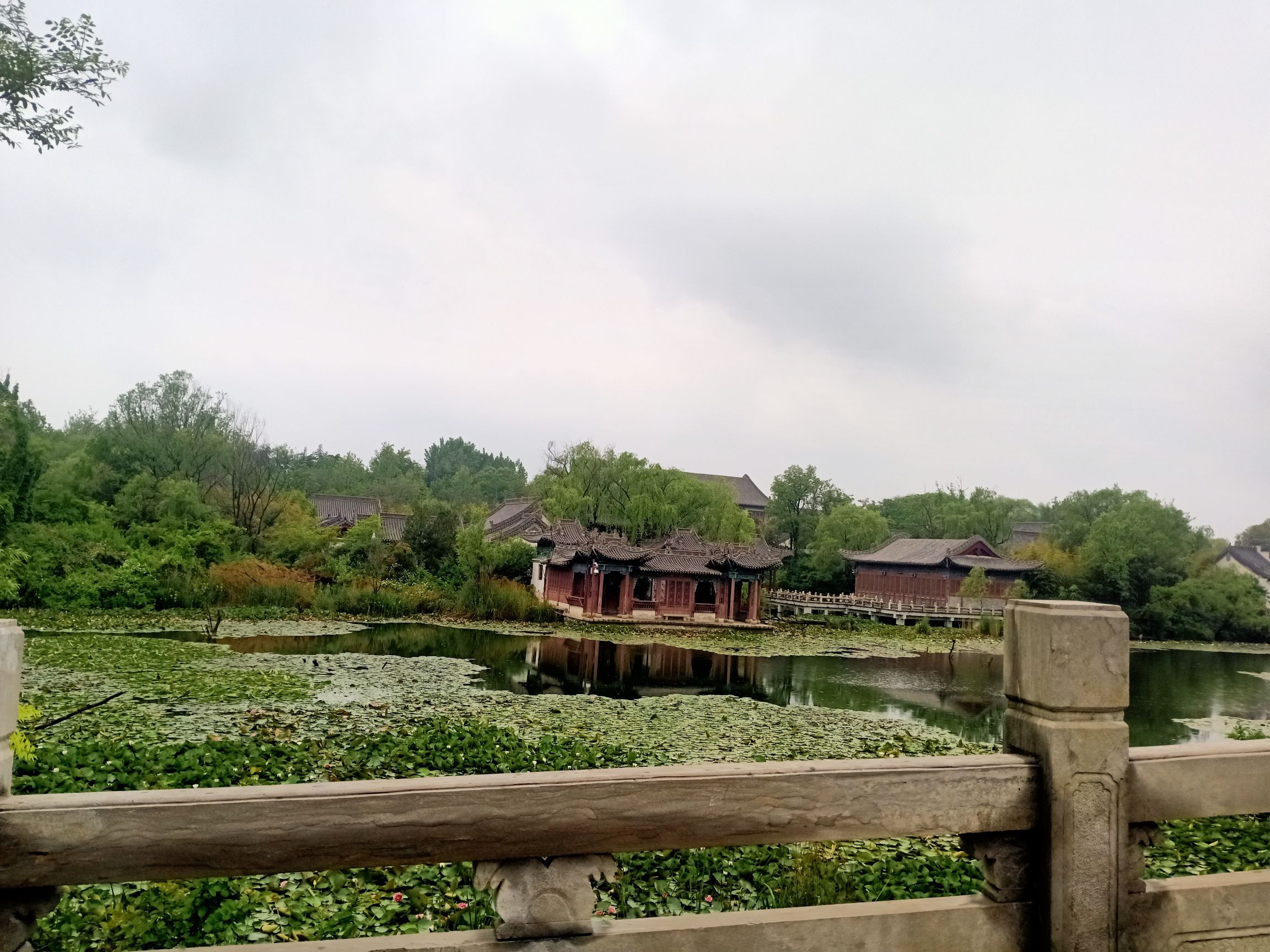 白浪绿洲湿地公园旅行图片 1