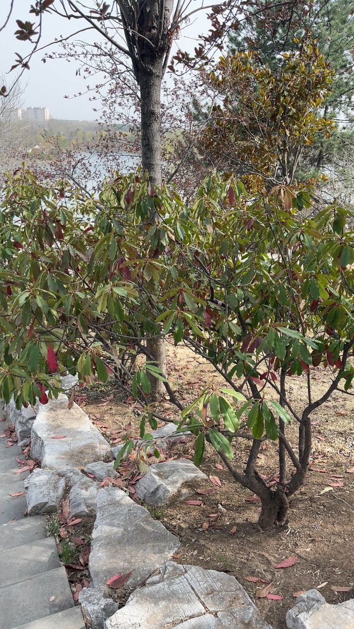 白浪绿洲湿地公园旅行图片 2